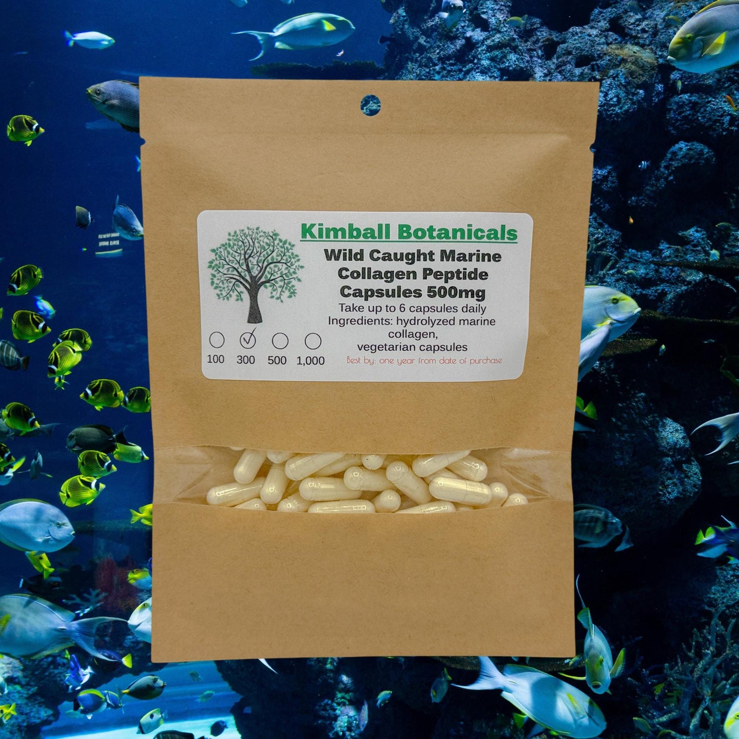 Wild Caught Marine Fish Collagen Peptides 500mg and 650mg pullulan or veggie capsules, made fresh to order