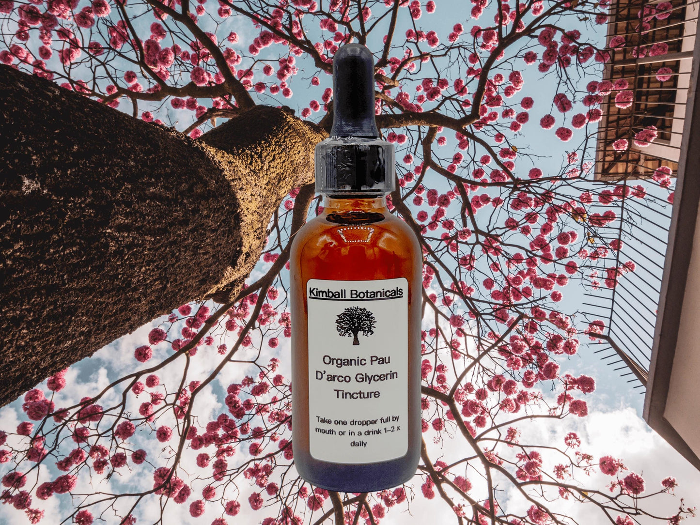 Organic Pau d’ Arco (Tabebuia avellanedae) 500mg or 650mg vegetarian capsules, or tincture, made fresh to order