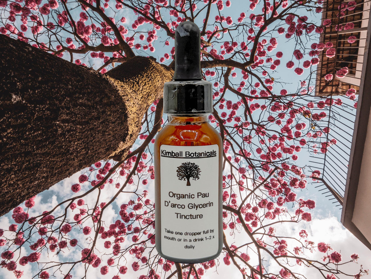 Organic Pau d’ Arco (Tabebuia avellanedae) 500mg or 650mg vegetarian capsules, or tincture, made fresh to order