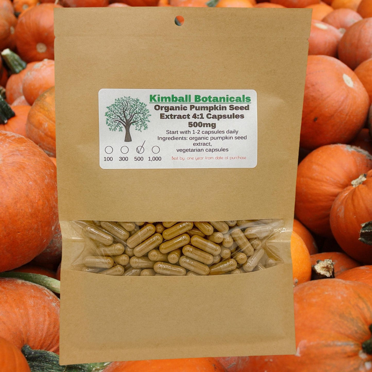 Organic Pumpkin Seed 4:1 Extract (cucurbita pepo) 500mg or 650mg vegetarian capsules made fresh to order.
