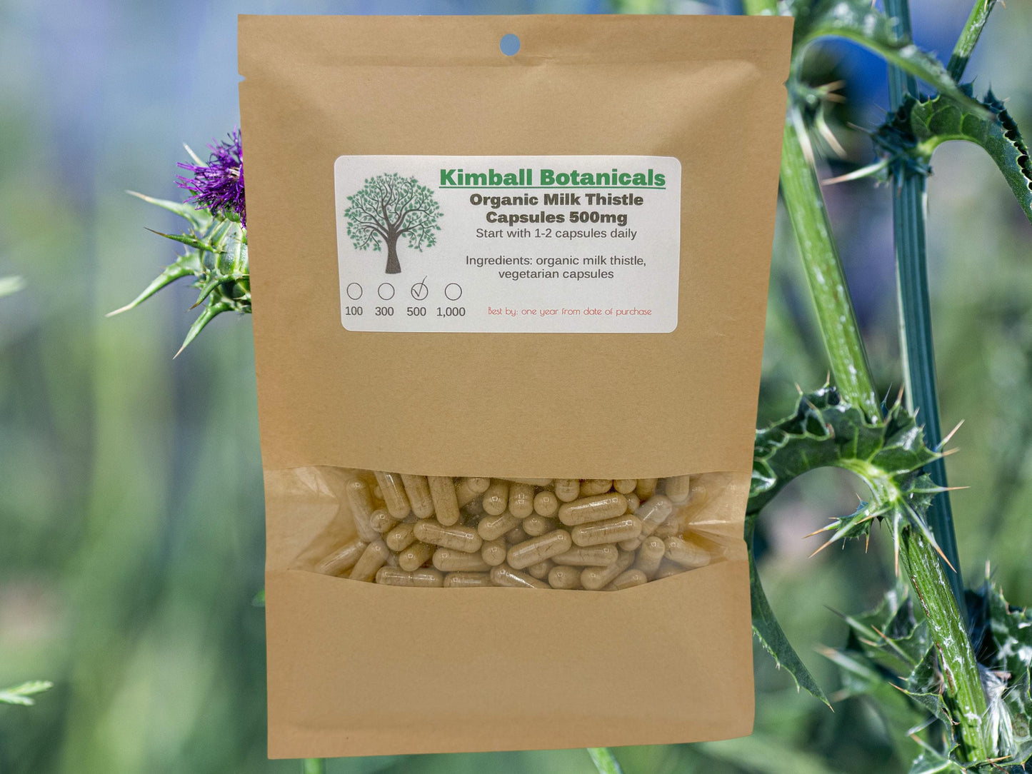 Certified Organic Milk Thistle (Silybum marianum) 500mg and 650mg vegetarian or pullulan capsules made fresh to order