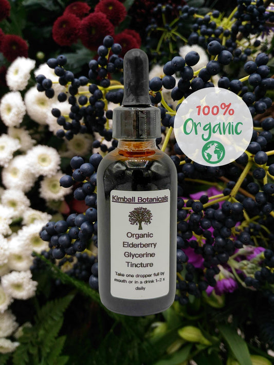 Organic Elderberry Glycerite Glycerin Tincture Liquid Extract