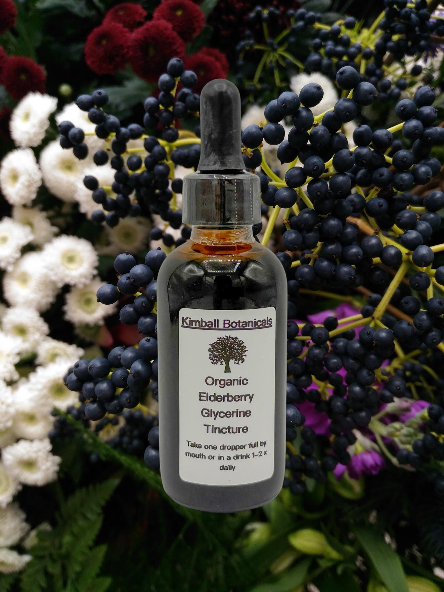 USDA Certified Organic Elderberry (Sambucus nigra) 500mg or 650mg vegetarian or pullulan capsules or tincture, made fresh to order.