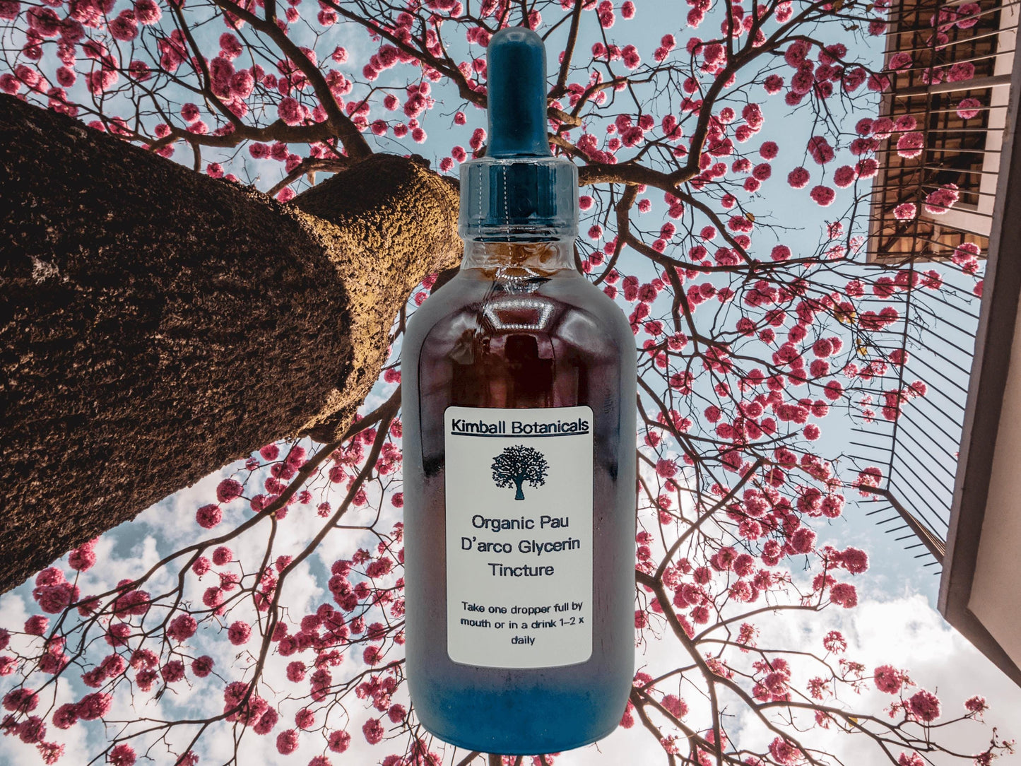 Organic Handcrafted Pau D’arco Glycerite Glycerin Tincture (soy derived) sustainably harvested NON GMO
