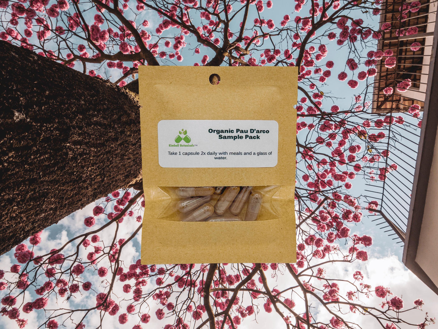 Organic Pau d’ Arco (Tabebuia avellanedae) 500mg or 650mg vegetarian capsules, or tincture, made fresh to order