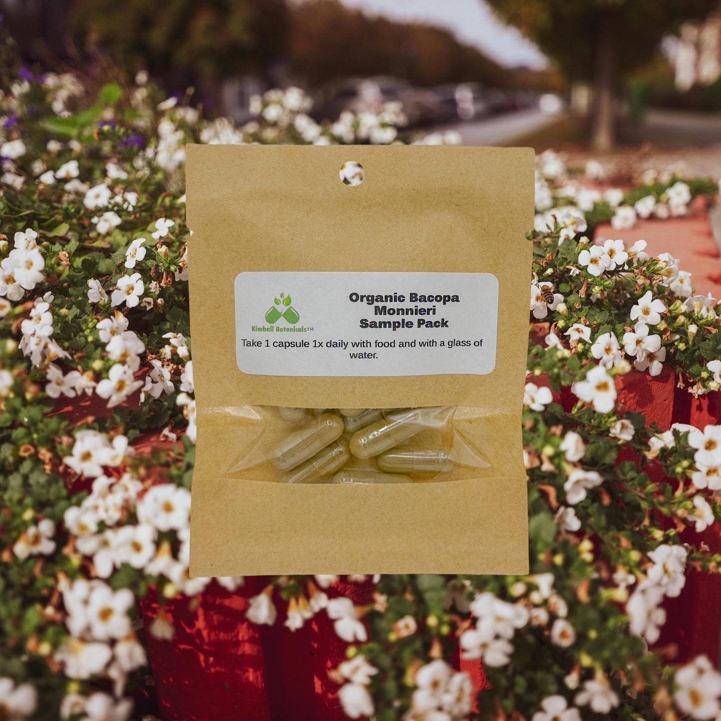 Organic Bacopa Monneiri (water hyssop, brahmi) 500mg vegetarian capsules, no fillers or binders of any kind