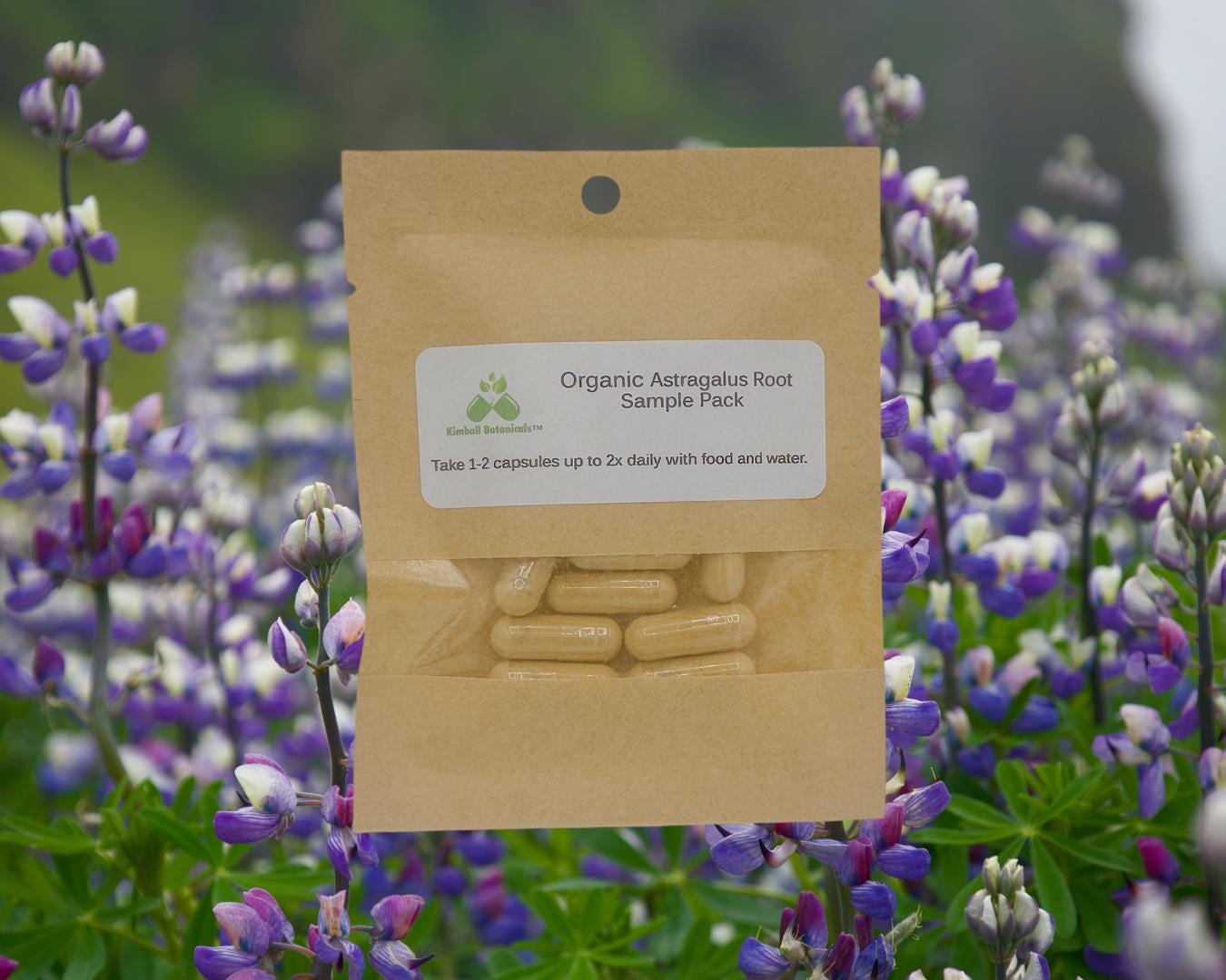 Organic Astragalus Root Extract (milk vetch) 50% polysaccharides 500mg and 650mg vegetarian capsules