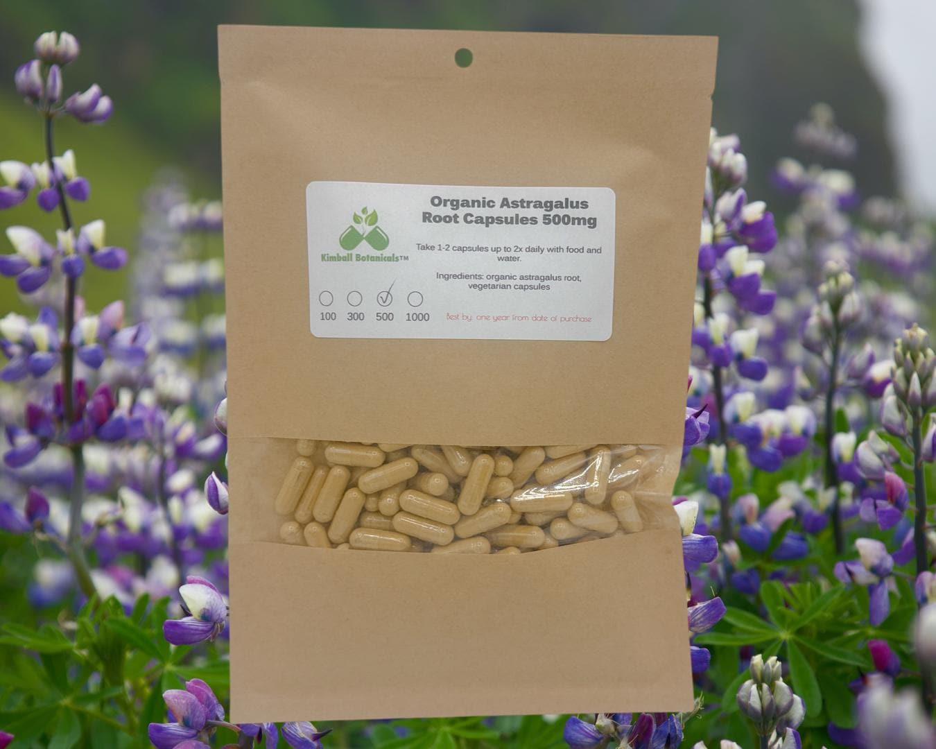 Organic Astragalus Root Extract (milk vetch) 50% polysaccharides 500mg and 650mg vegetarian capsules