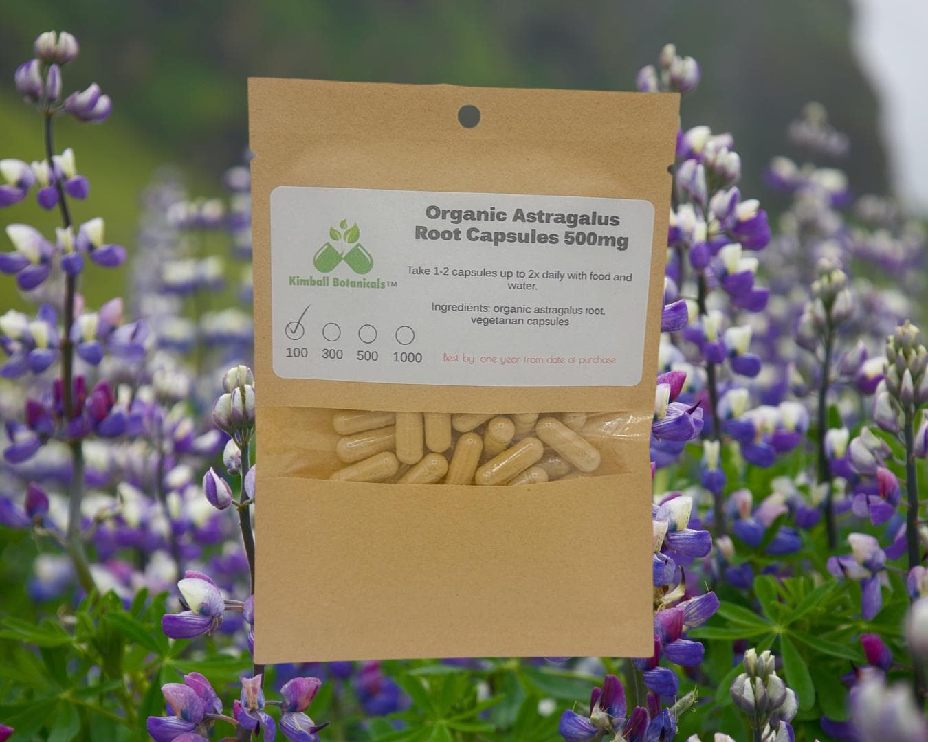 Organic Astragalus Root Extract (milk vetch) 50% polysaccharides 500mg and 650mg vegetarian capsules