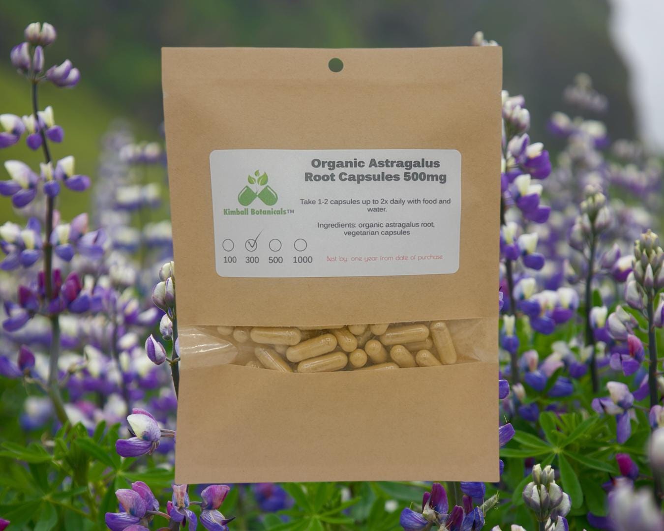 Organic Astragalus Root Extract (milk vetch) 50% polysaccharides 500mg and 650mg vegetarian capsules