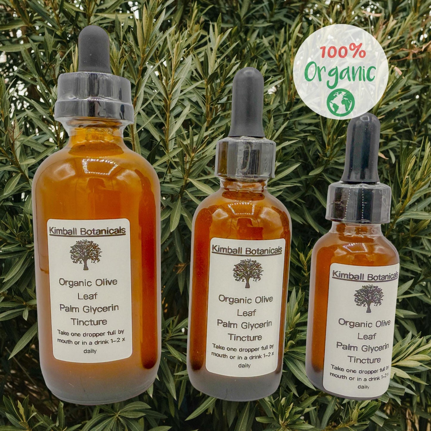 organic olive leaf palm kernel glycerin tincture
