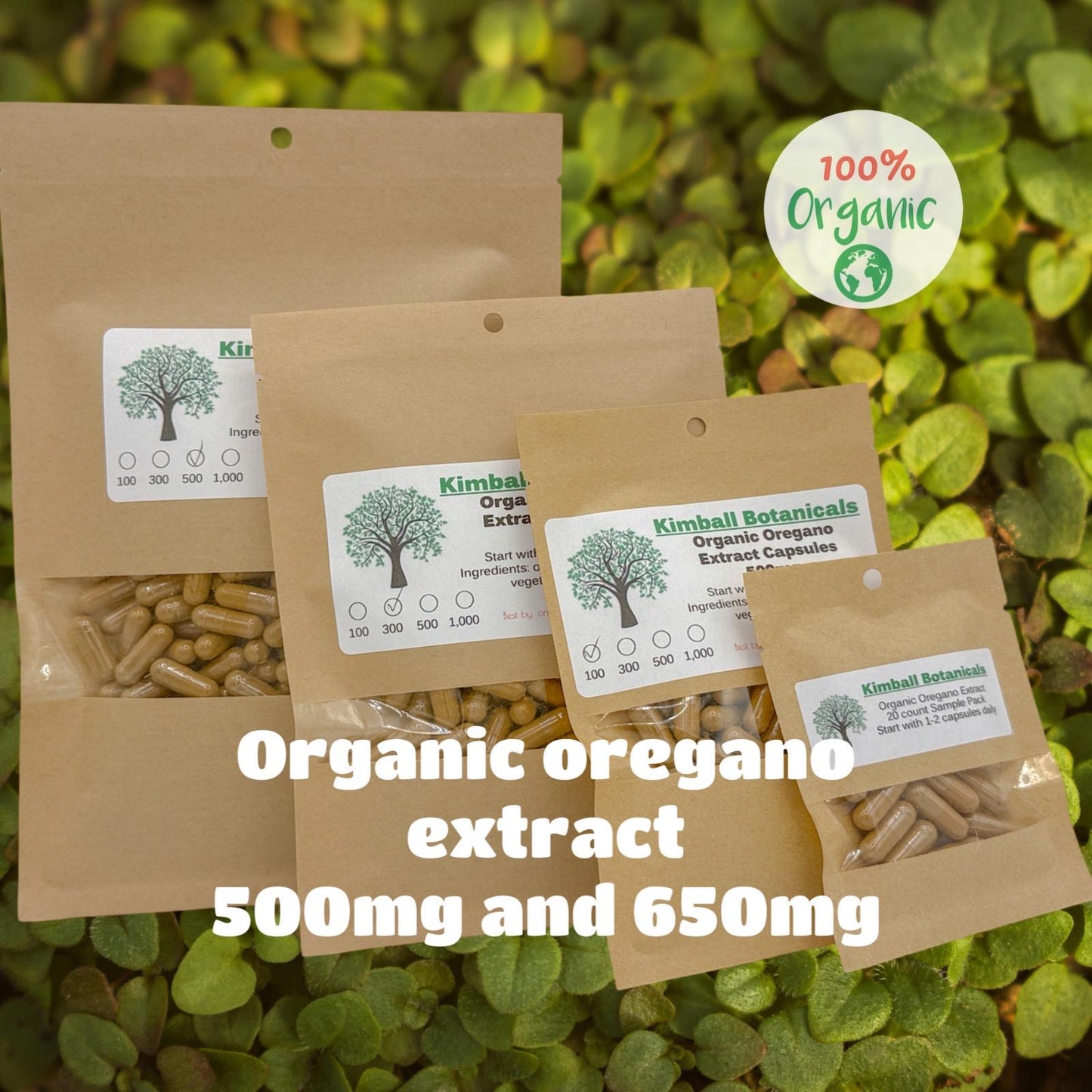 Organic Oregano Extract (origanum vulgare) 500mg and 650mg vegetarian capsules made fresh to order