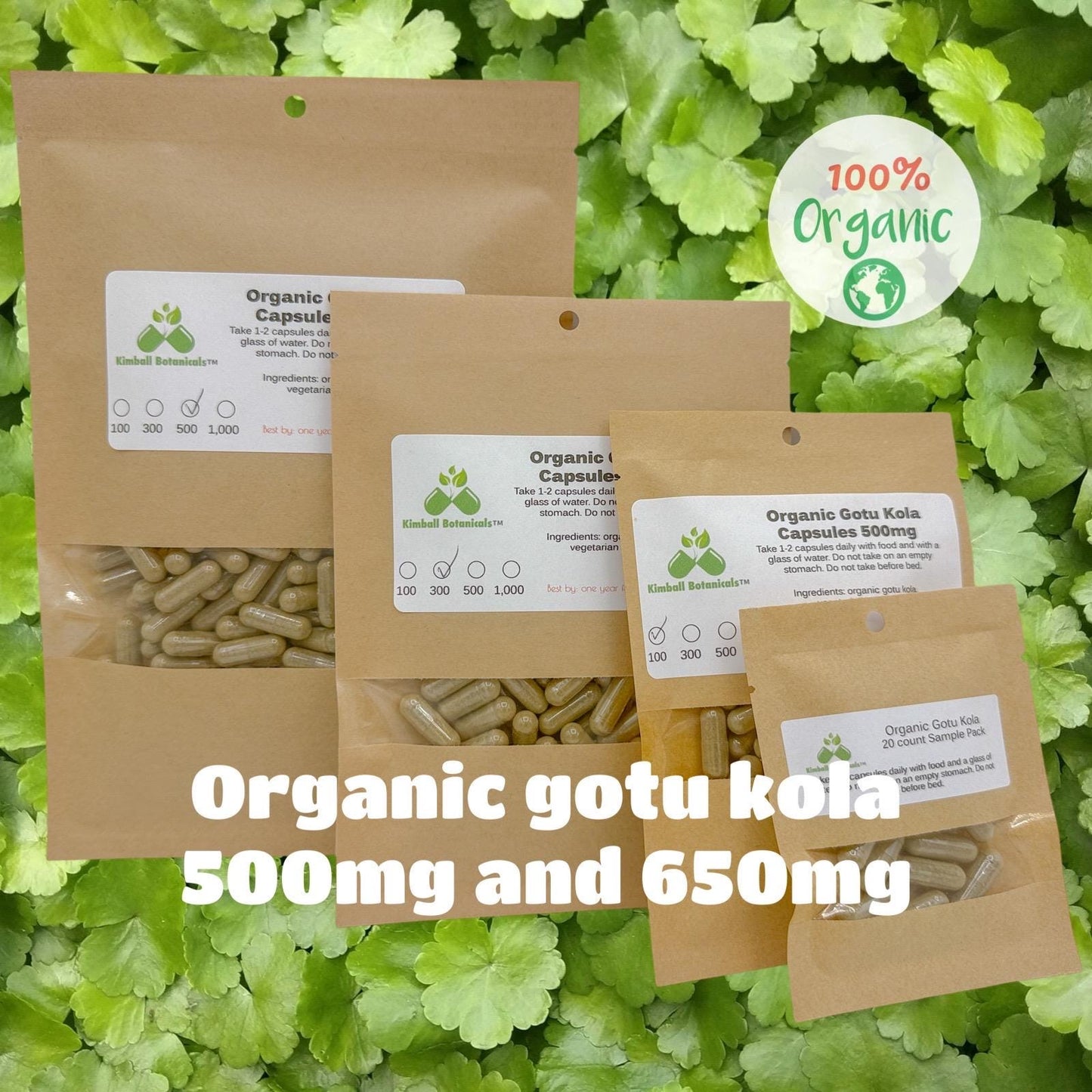 Organic Gotu Kola (Centella asiatica) 500mg and 650mg vegetarian capsules made fresh to order