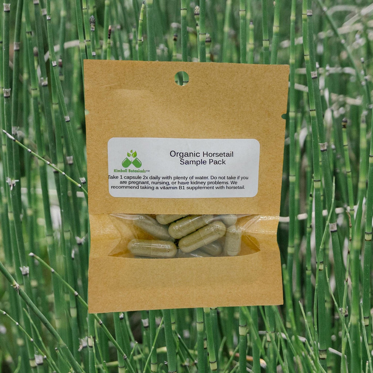 Organic Horsetail (Equisetum arvense) 500mg or 650mg vegetarian capsules made fresh to order