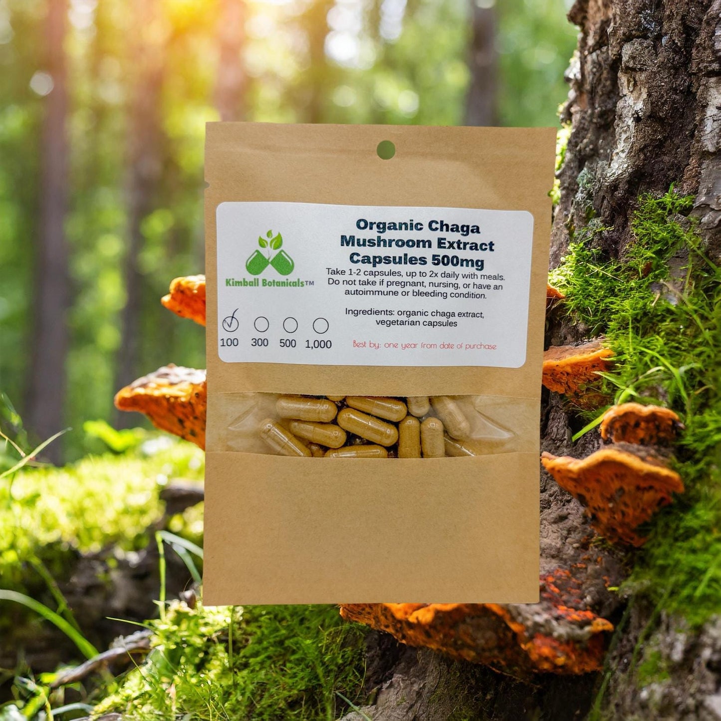 Organic Chaga Mushroom (Inonotus obliquus) Extract 500mg 50% Polysaccharides, vegetarian capsules, no fillers, made fresh to order
