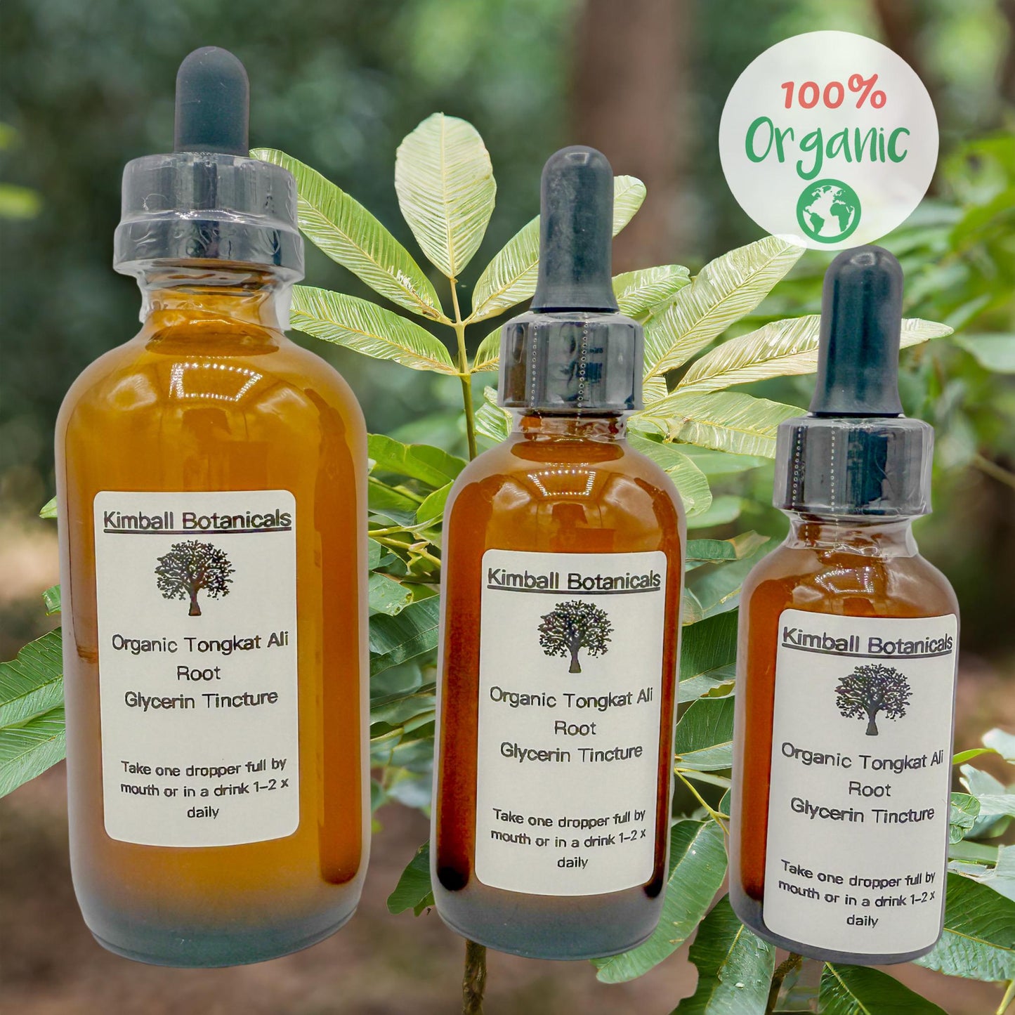 Certified Organic Tongkat Ali root (Eurycoma longifolia) 500mg or 650mg vegetarian capsules, pullulan, or tincture, made fresh to order