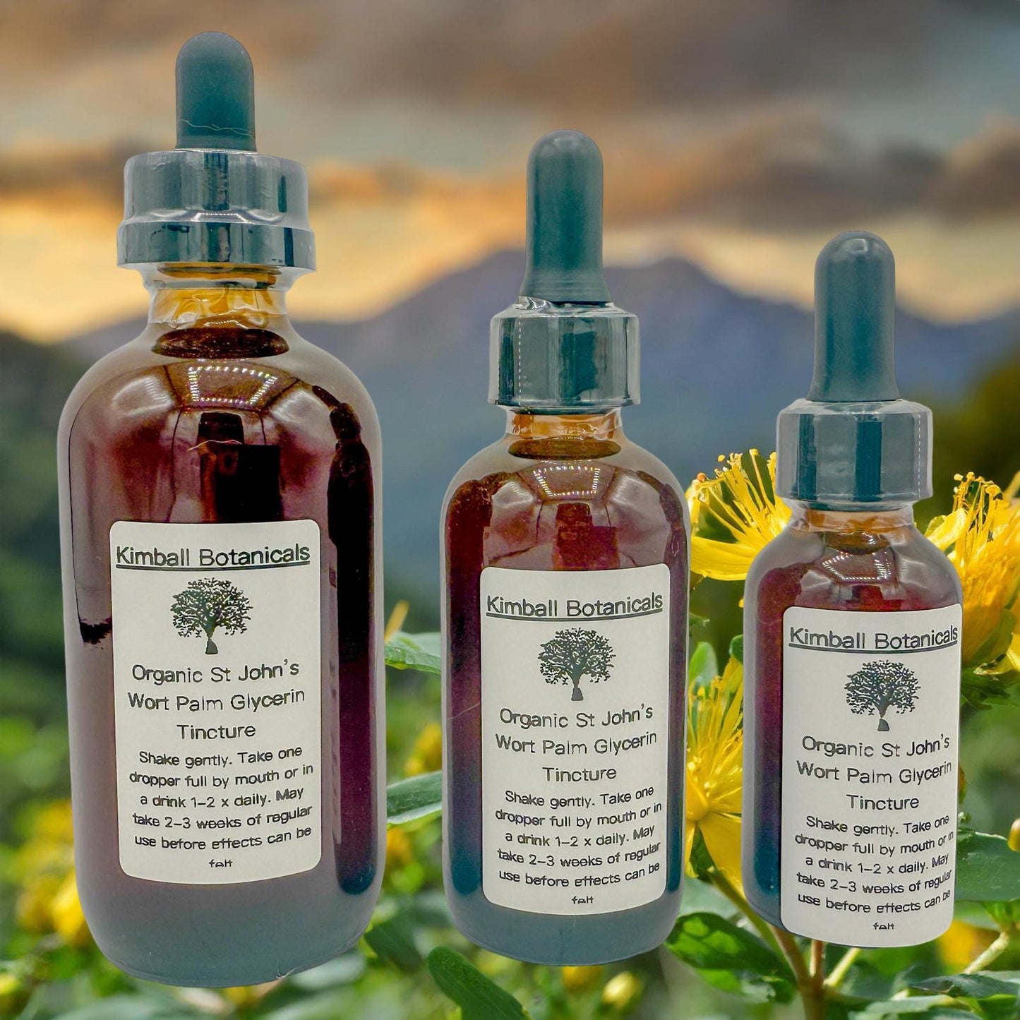 Organic St. John’s Wort (Hypericum perforatum) 500mg and 650mg vegetarian capsules made fresh to order
