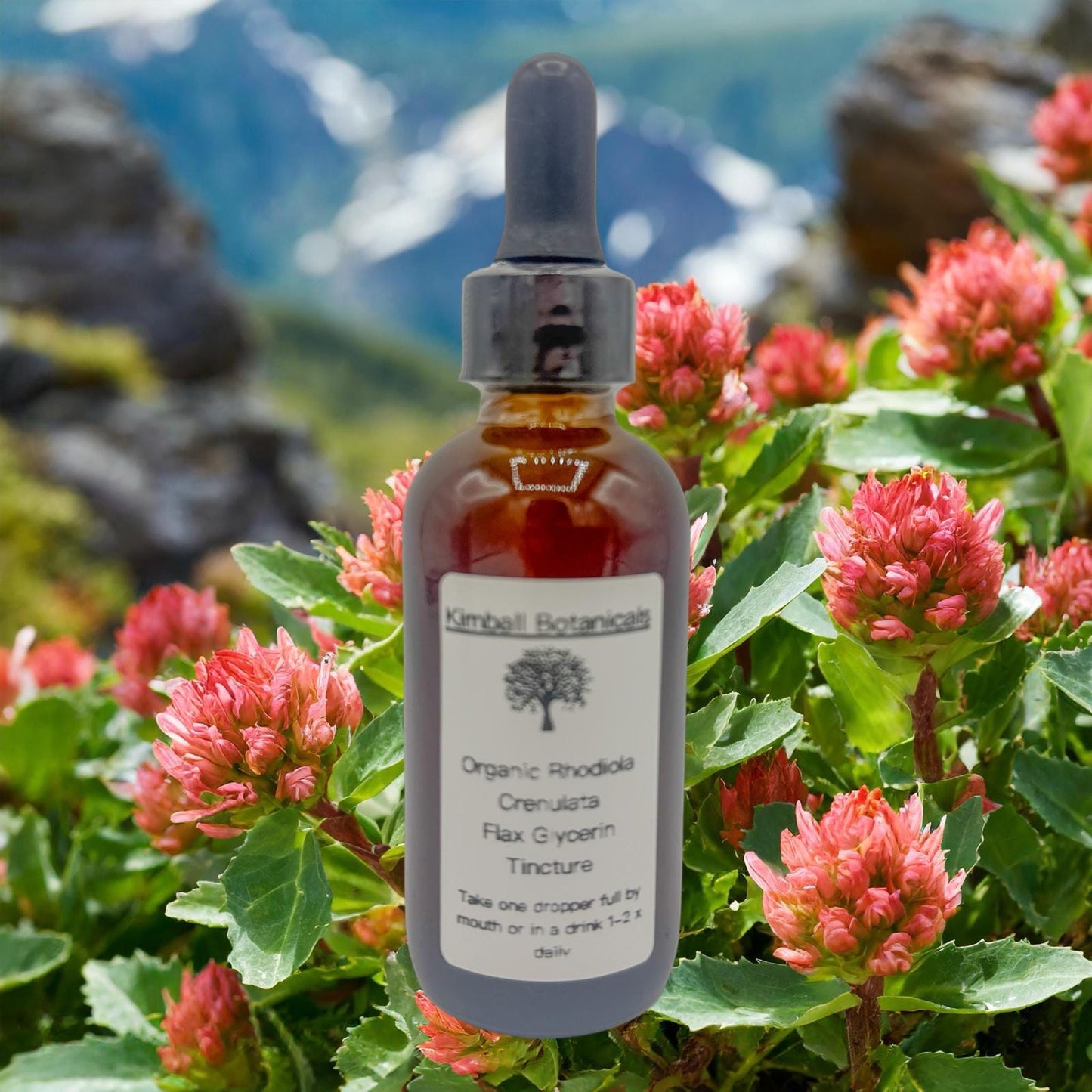 Organic Handcrafted Rhodiola Crenulata Vegetable Glycerin Tincture Double Extracted sustainably harvested
