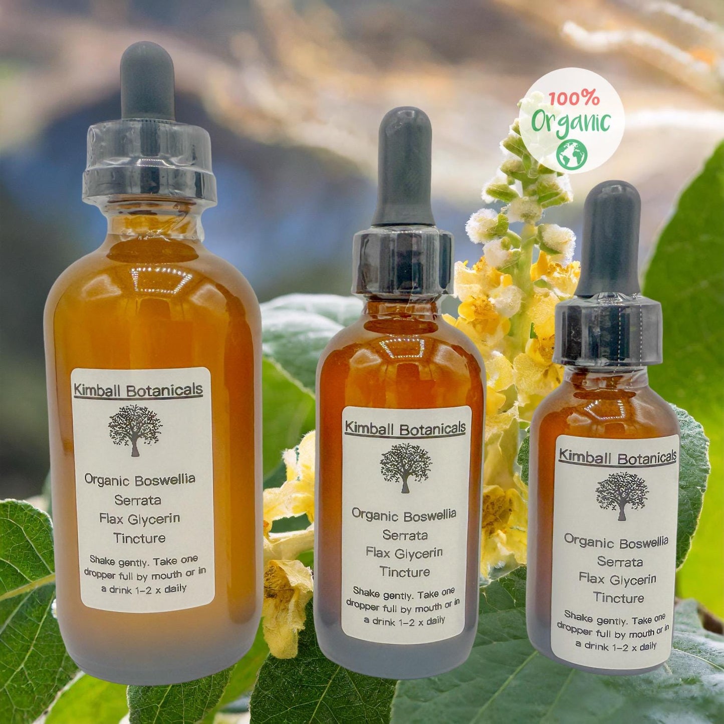 organic Boswellia serrata usda certified flax glycerin tincture