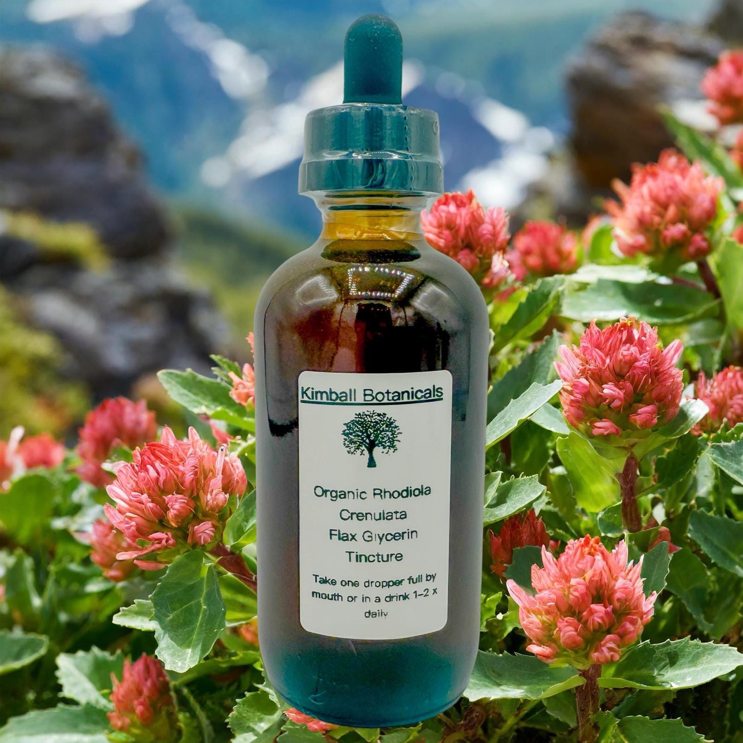 Organic Handcrafted Rhodiola Crenulata Vegetable Glycerin Tincture Double Extracted sustainably harvested