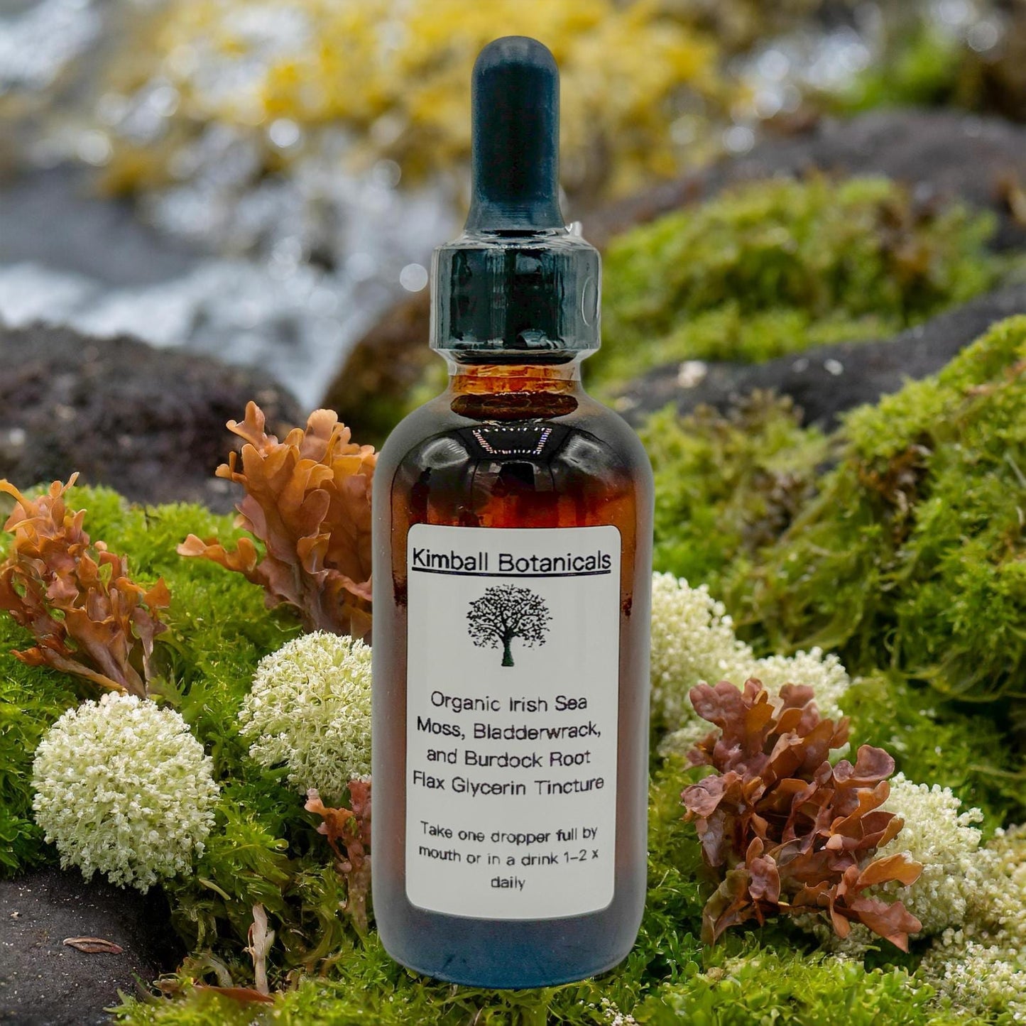 USDA Organic Irish Moss, Bladderwrack, and Burdock Root Double Extracted Glycerin Tincture sustainably harvested NON GMO