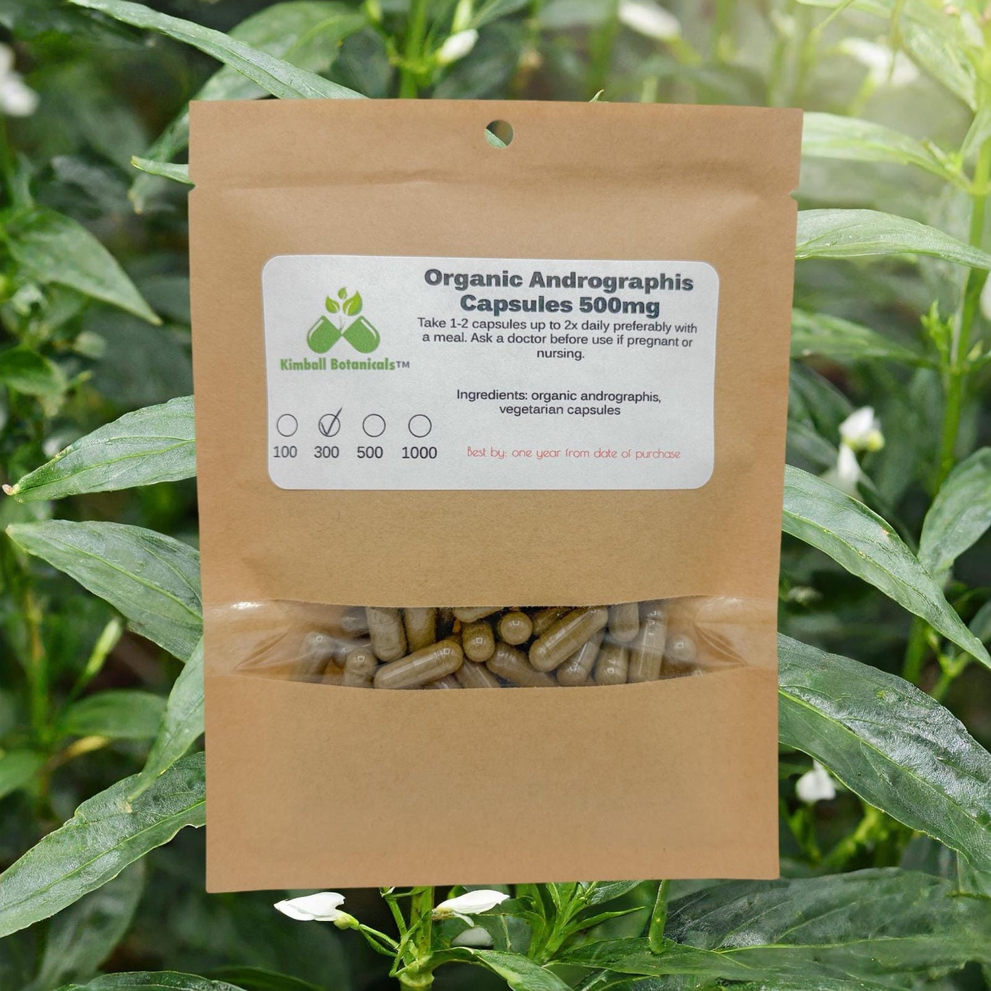 Organic Andrographis 500mg and 650mg vegetarian or pullulan capsules made fresh to order
