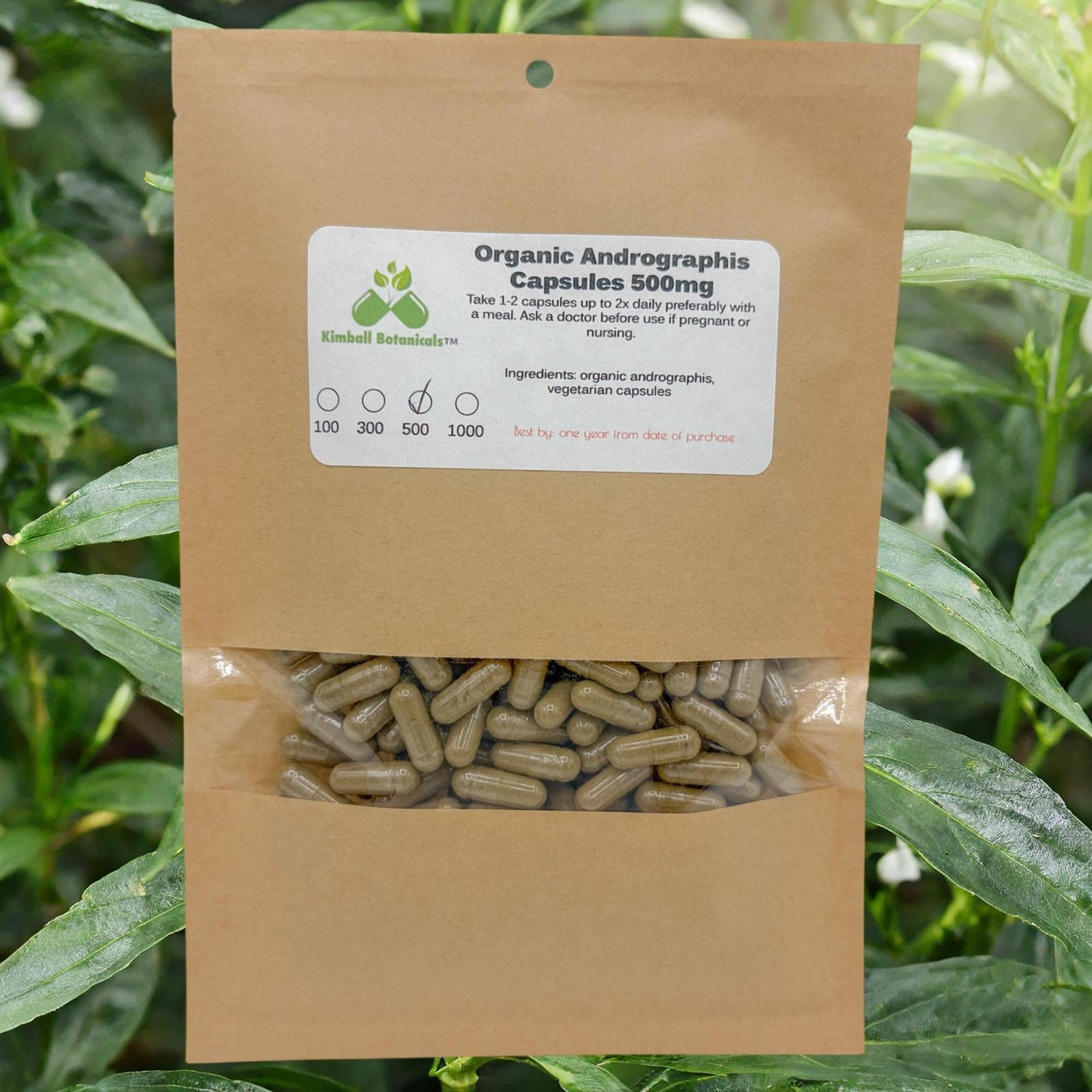 Organic Andrographis 500mg and 650mg vegetarian or pullulan capsules made fresh to order