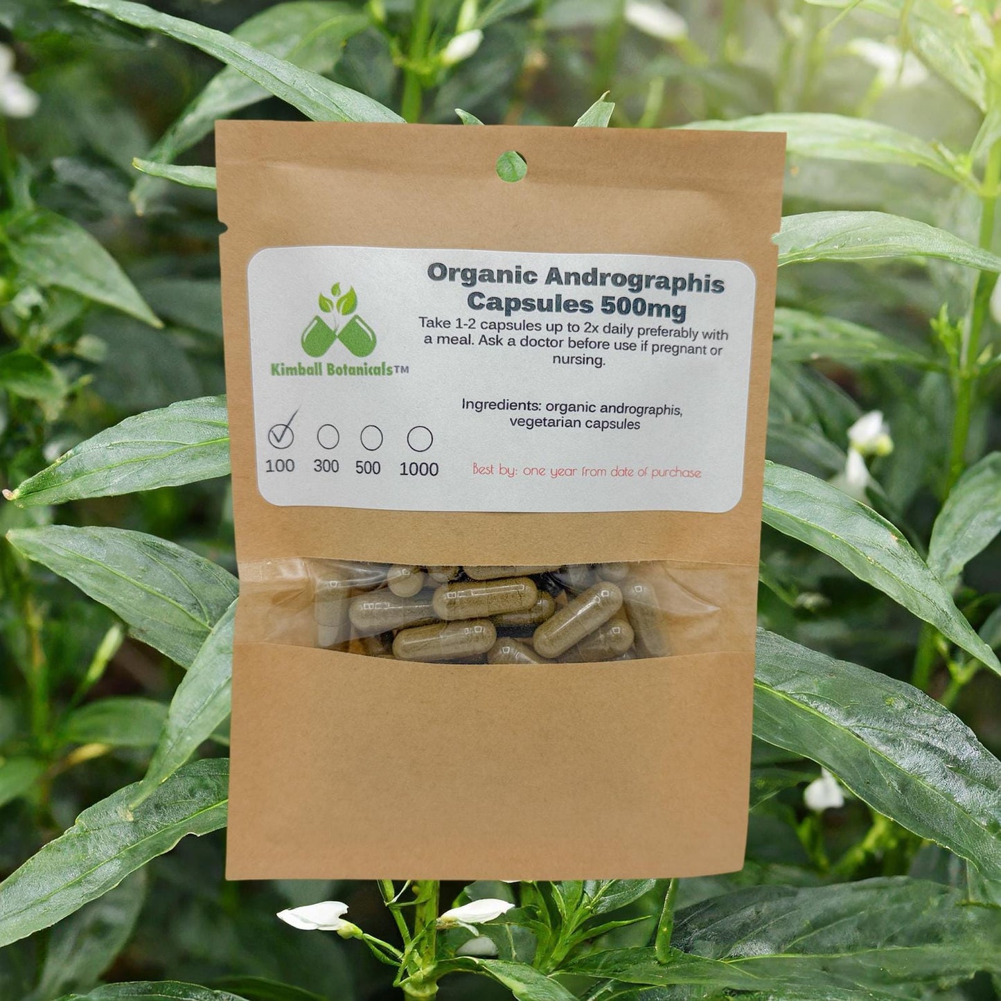 Organic Andrographis 500mg and 650mg vegetarian or pullulan capsules made fresh to order