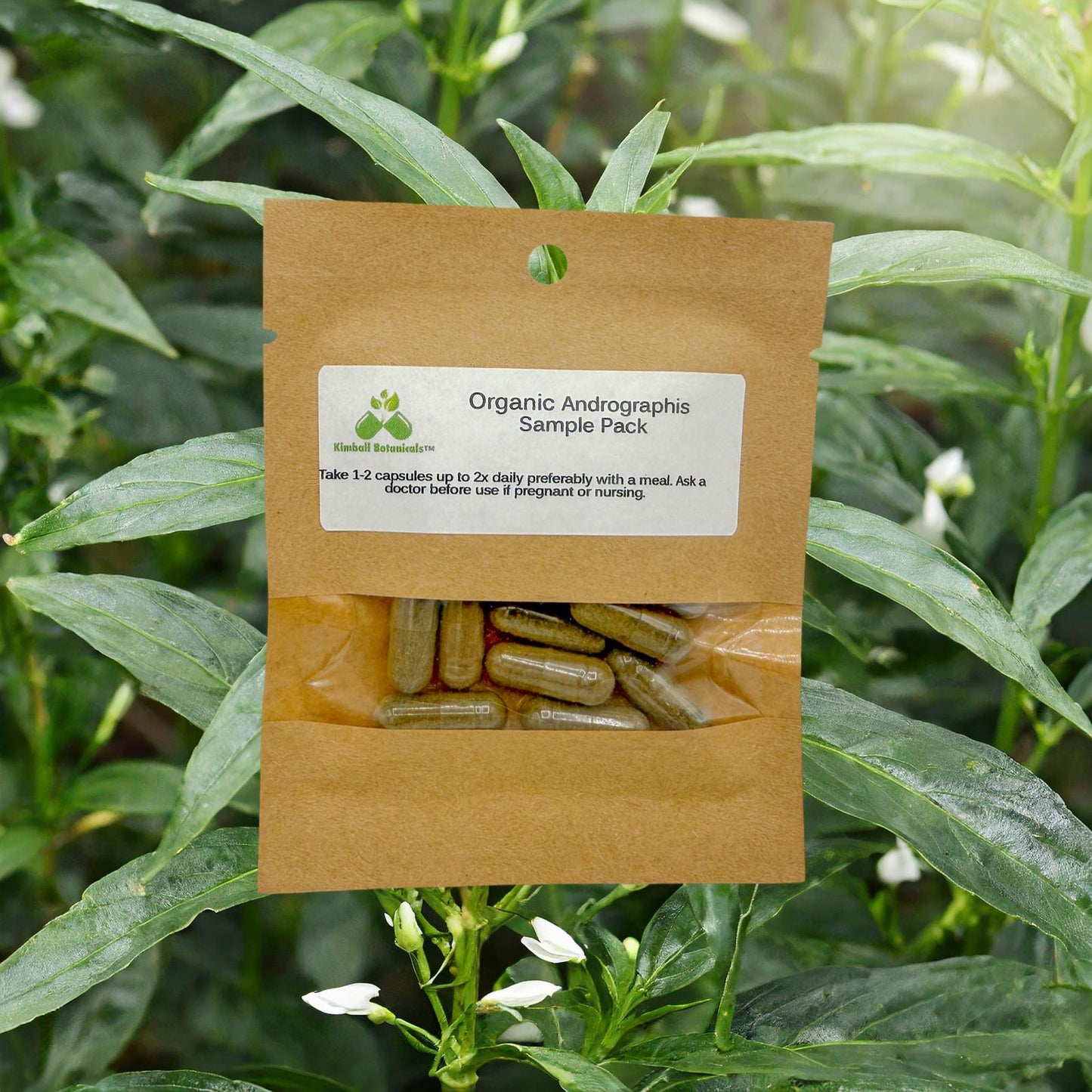 Organic Andrographis 500mg and 650mg vegetarian or pullulan capsules made fresh to order