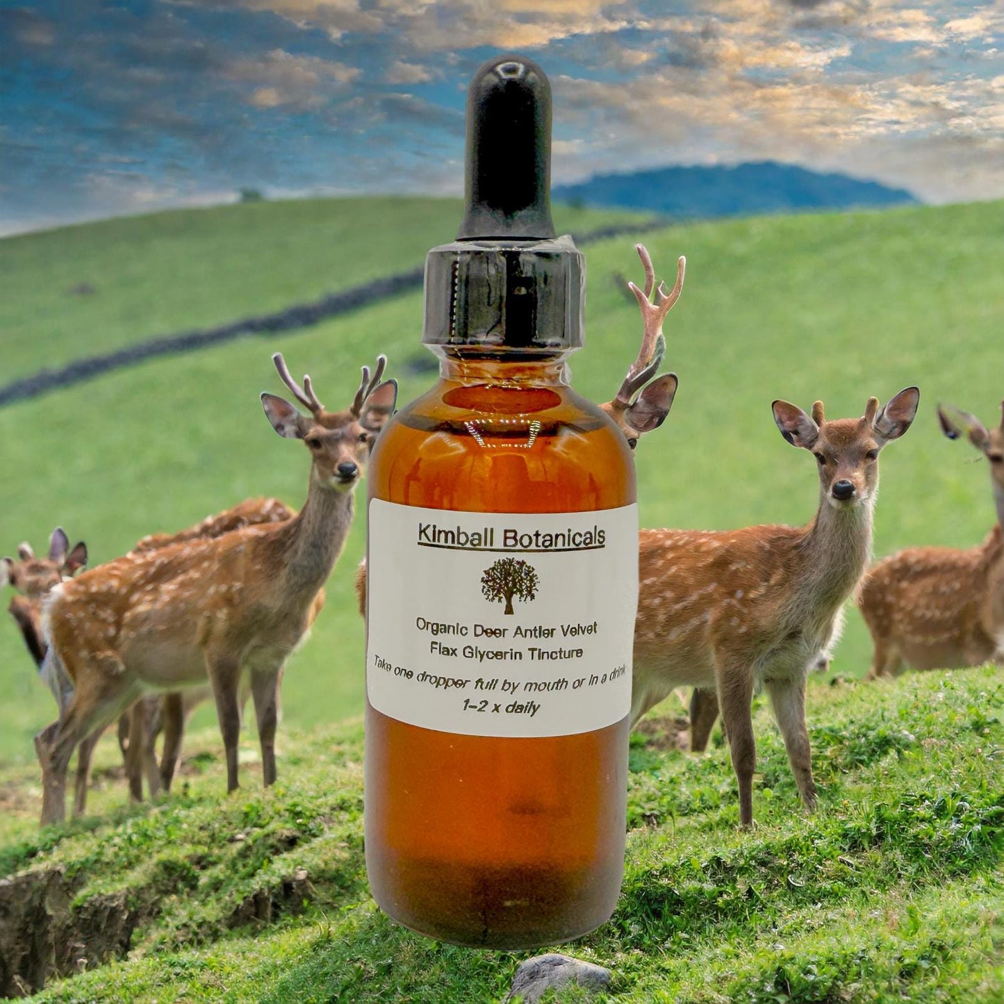 Organic Sika Deer Antler Velvet USDA Certified Glycerin Tincture Liquid Extract, sustainably harvested