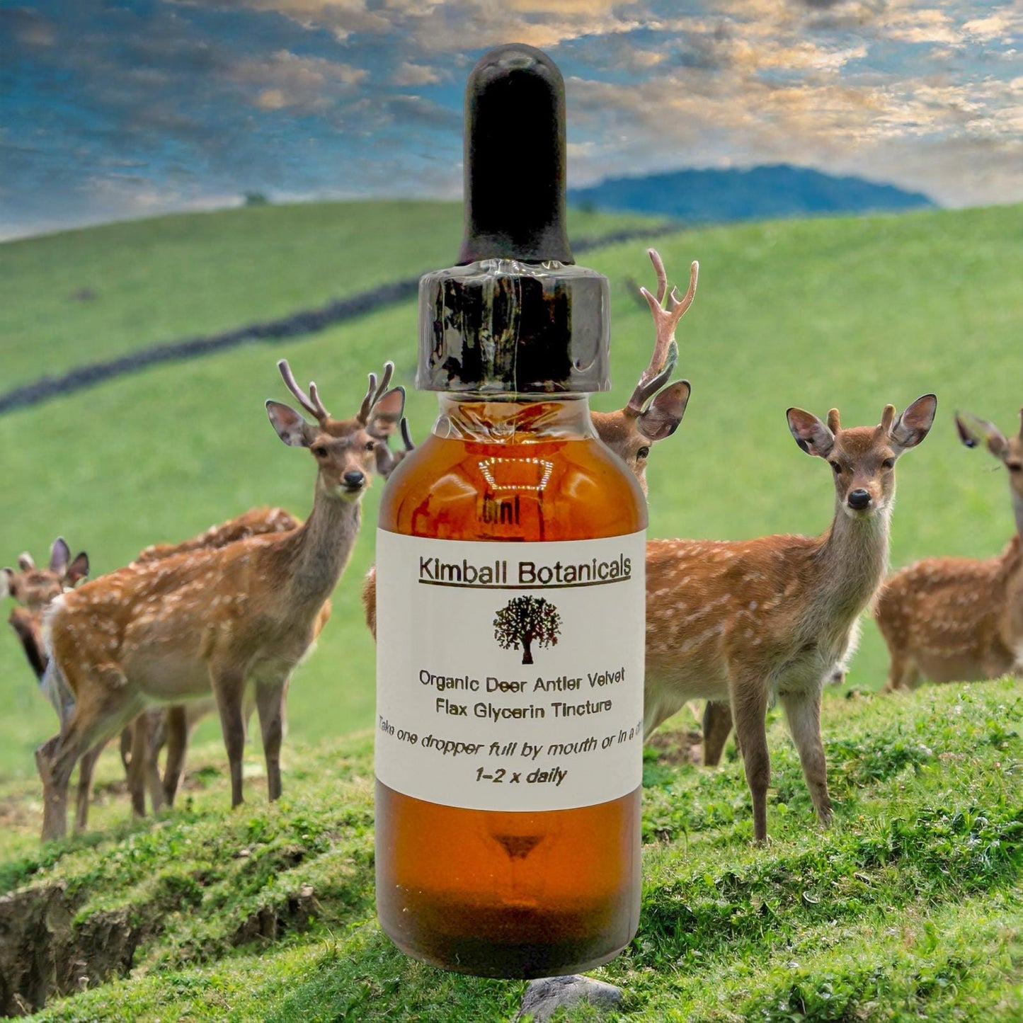 Organic Sika Deer Antler Velvet USDA Certified Glycerin Tincture Liquid Extract, sustainably harvested