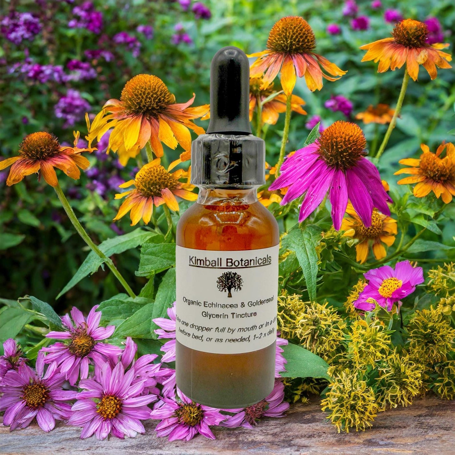 Wild Harvested, Organic Echinacea and Goldenseal Glycerin Tincture sustainably harvested NON GMO