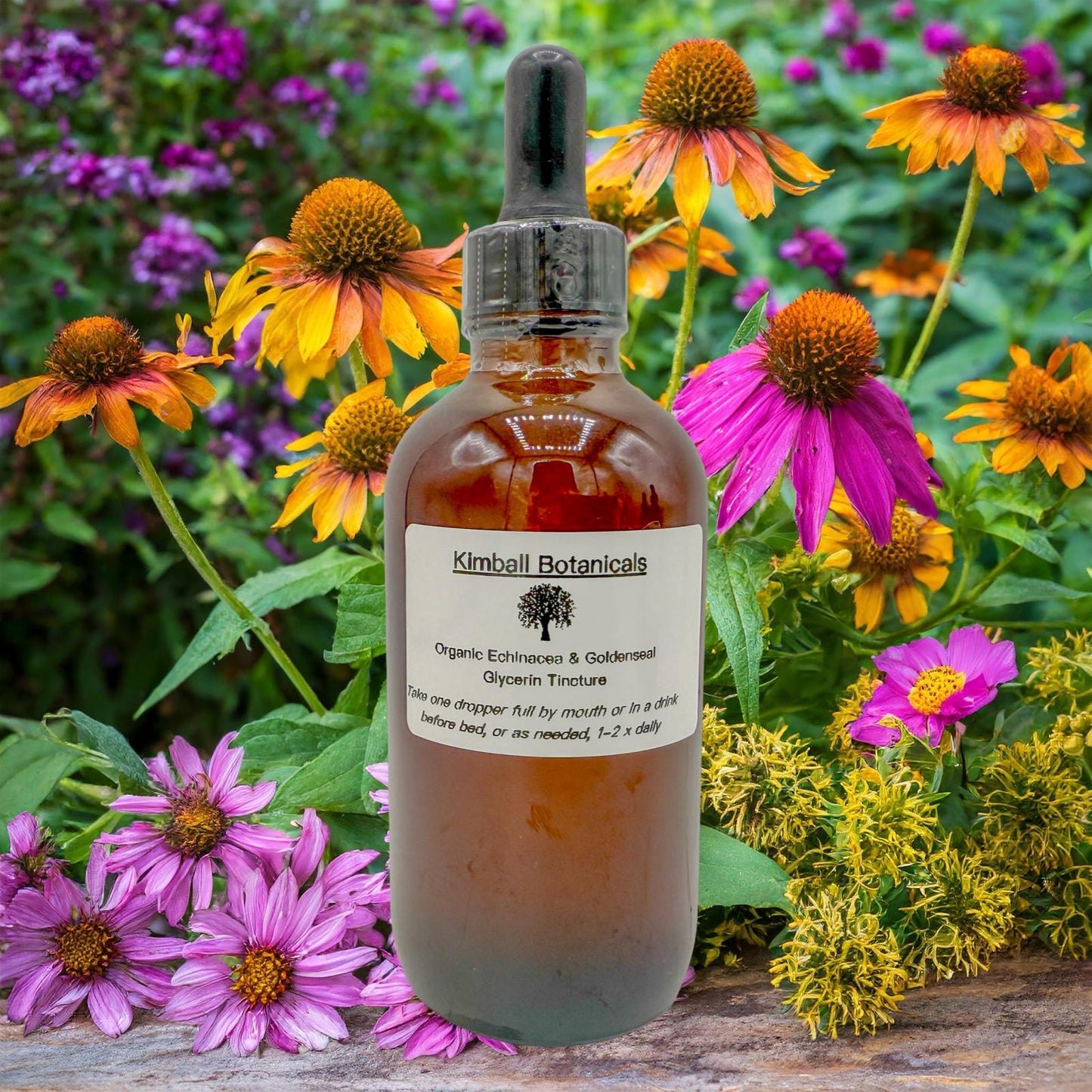 Wild Harvested, Organic Echinacea and Goldenseal Glycerin Tincture sustainably harvested NON GMO
