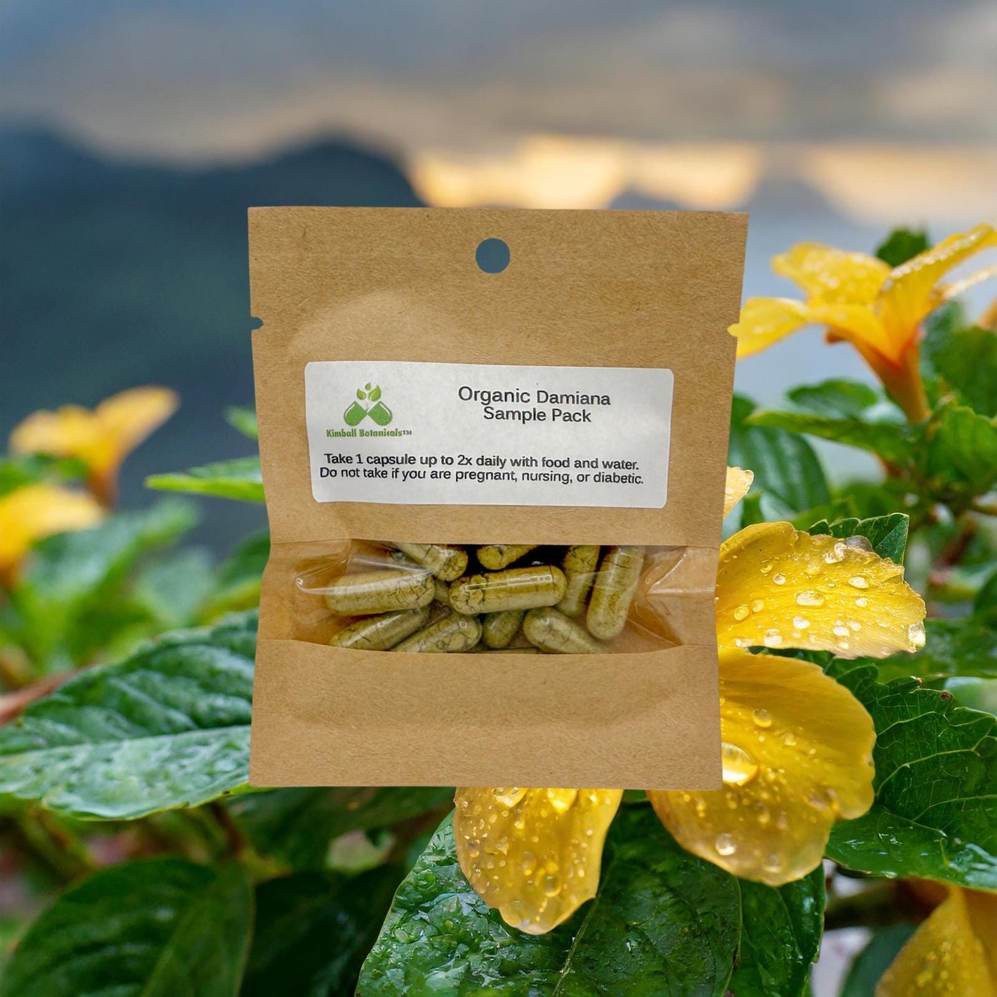 Organic Damiana (Turnera diffusa) 500mg or 650mg vegetarian capsules, made fresh to order, no fillers or binders