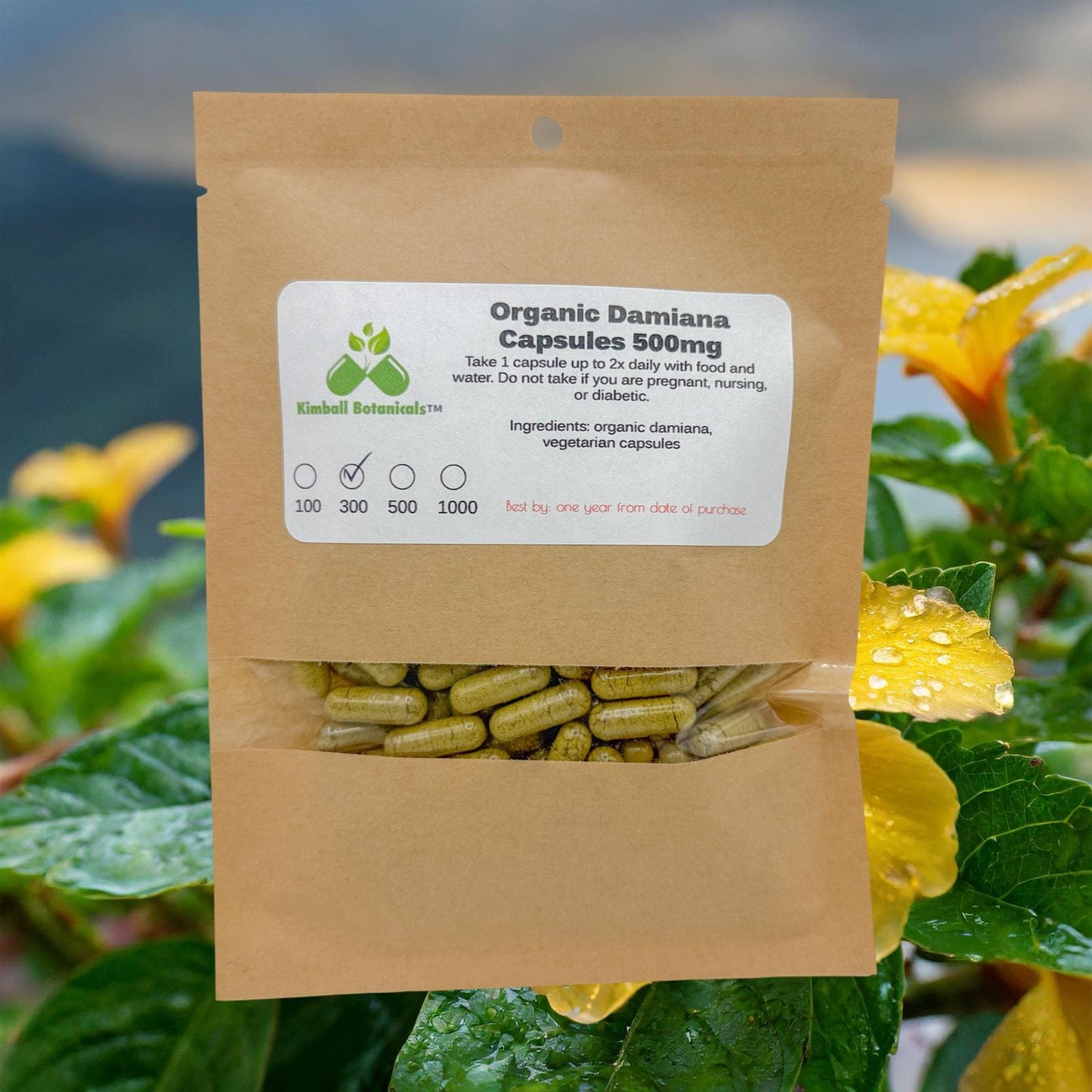 Organic Damiana (Turnera diffusa) 500mg or 650mg vegetarian capsules, made fresh to order, no fillers or binders