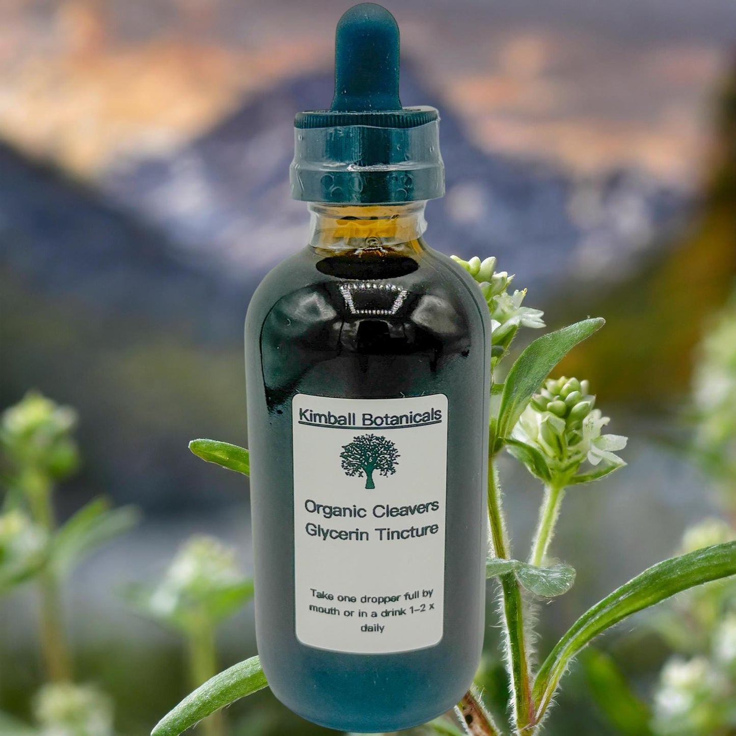 USDA Certified Organic Handcrafted Cleavers Vegetable Glycerin Tincture Double Extracted