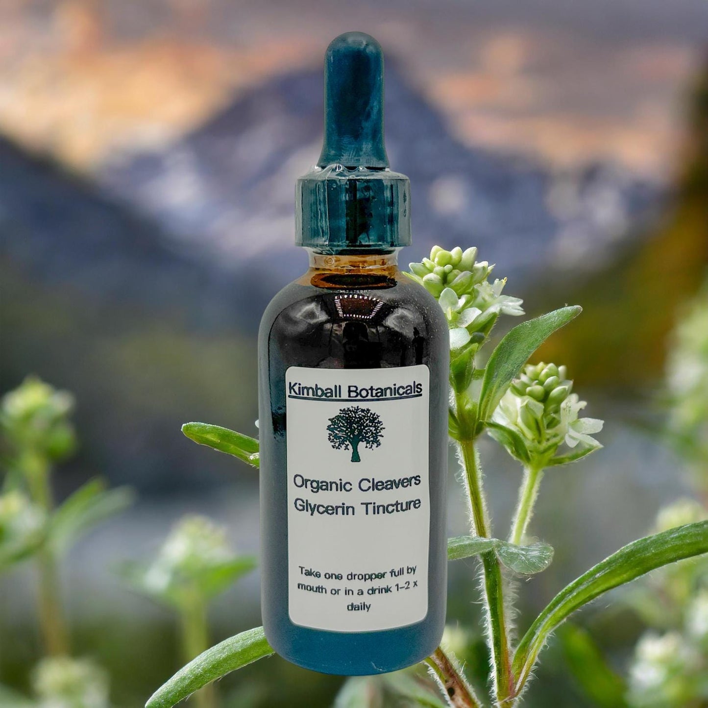 USDA Certified Organic Handcrafted Cleavers Vegetable Glycerin Tincture Double Extracted