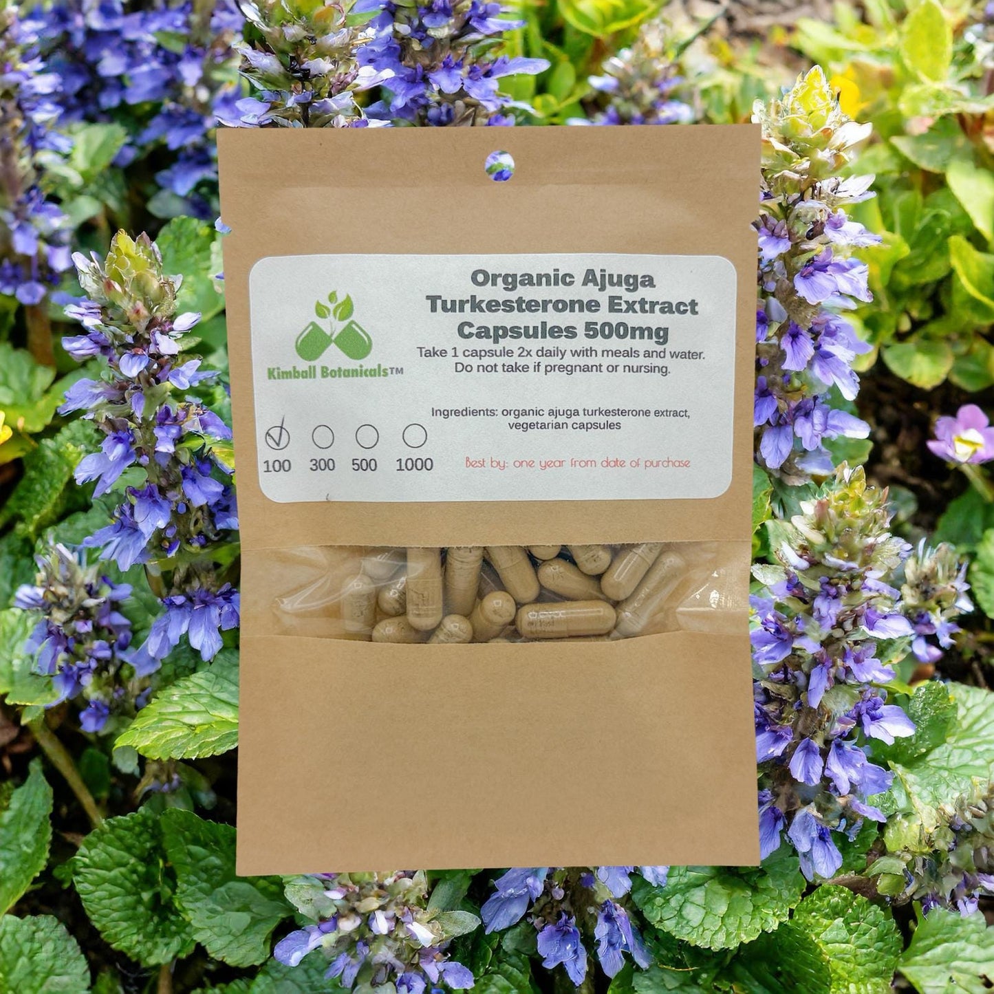 Organic Ajuga Turkesterone Extract 10% 500mg vegetarian capsules made fresh to order.