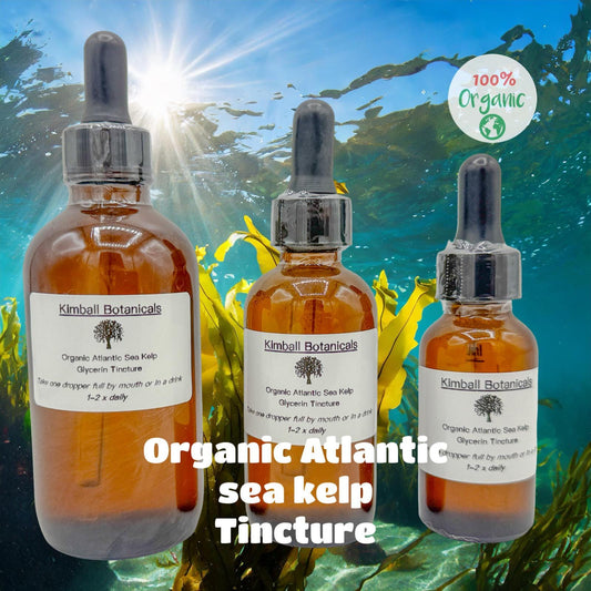USDA Certified Organic Atlantic Sea Kelp Glycerin Tincture, Double Extracted