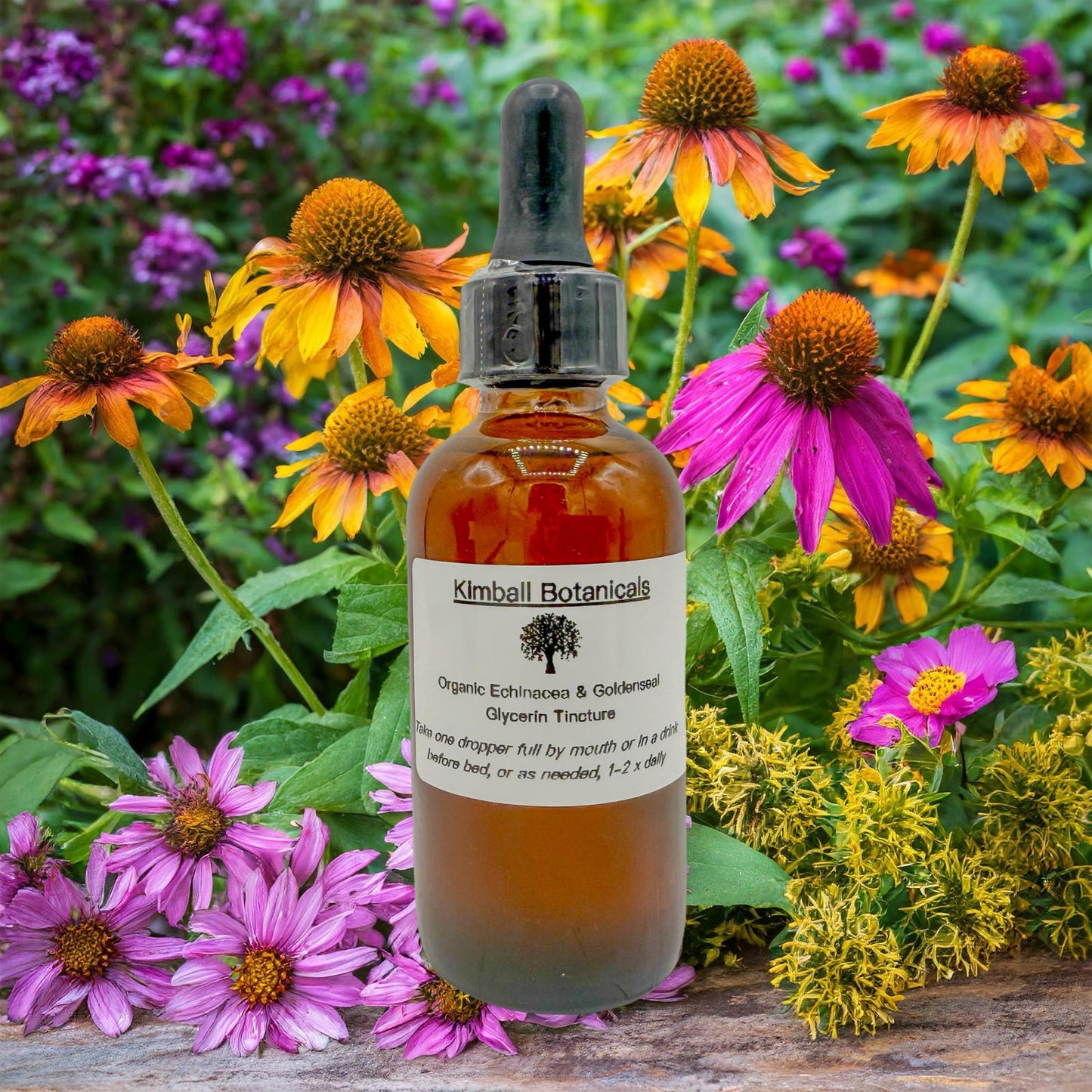 Wild Harvested, Organic Echinacea and Goldenseal Glycerin Tincture sustainably harvested NON GMO