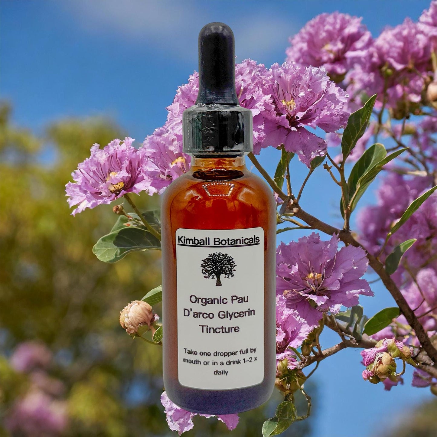 USDA Certified Organic Handcrafted Pau D’arco Glycerin Tincture Double Extracted, sustainably harvested NON GMO
