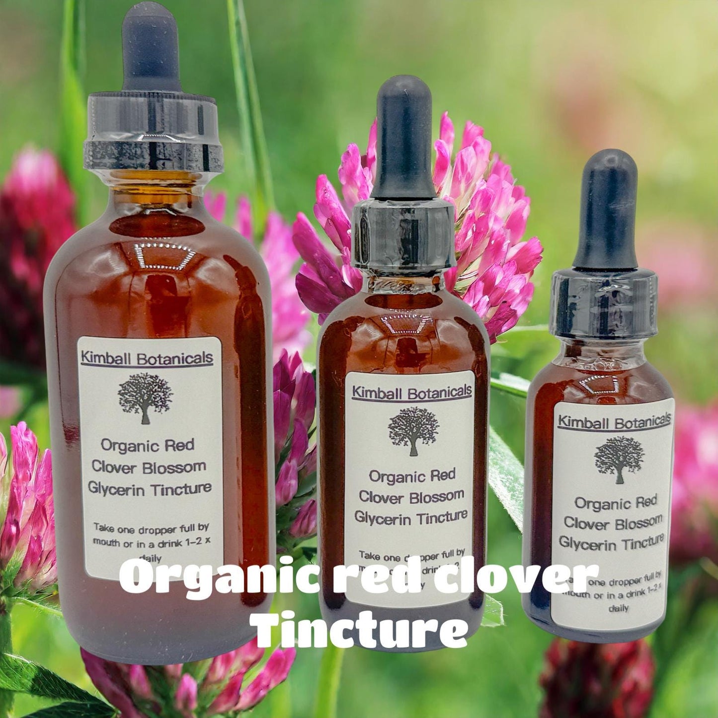 Organic Red Clover Blossom (Trifolium pratense) 500mg and 650mg pullulan or vegetarian capsules or tincture, zero fillers
