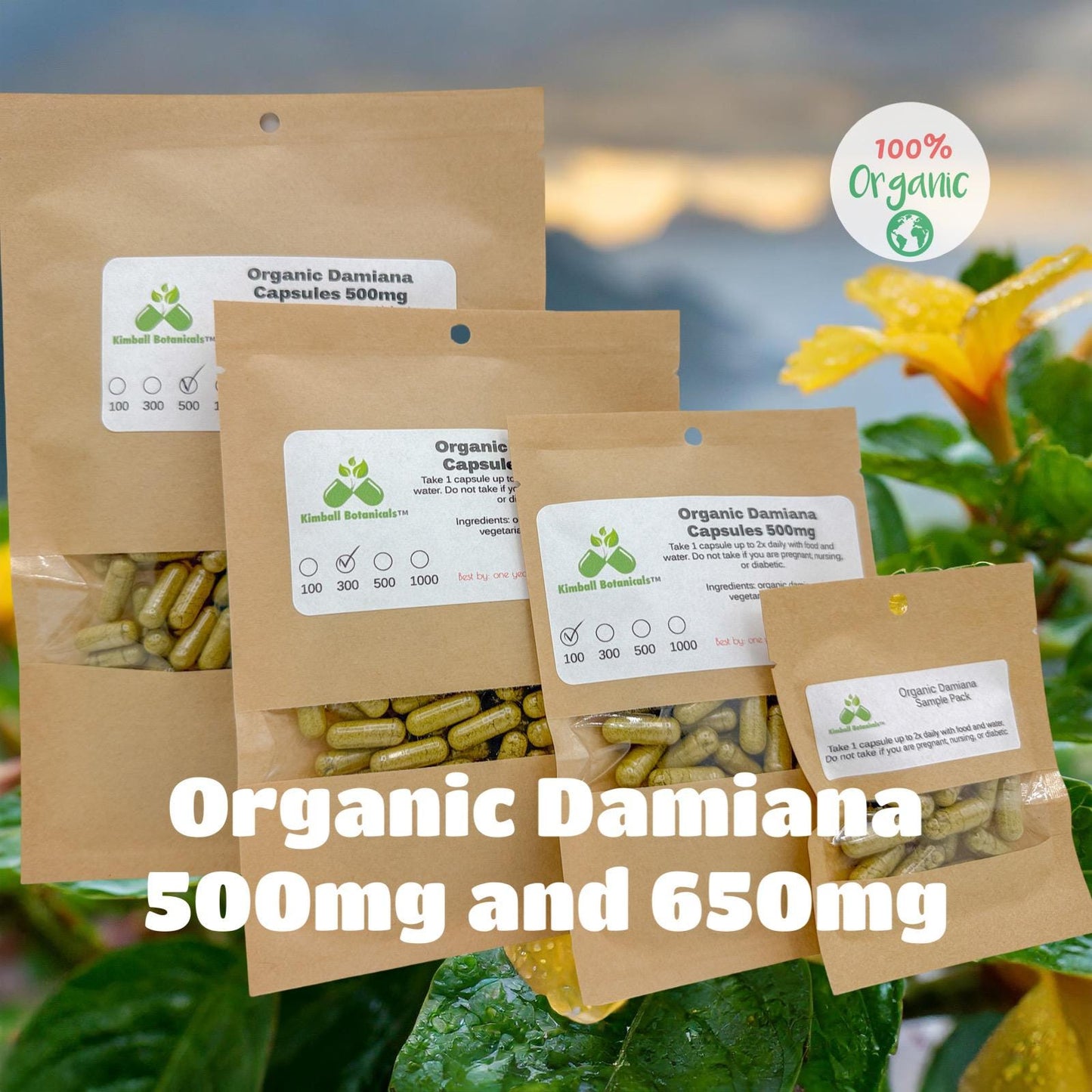 Organic Damiana (Turnera diffusa) 500mg or 650mg vegetarian capsules, made fresh to order, no fillers or binders