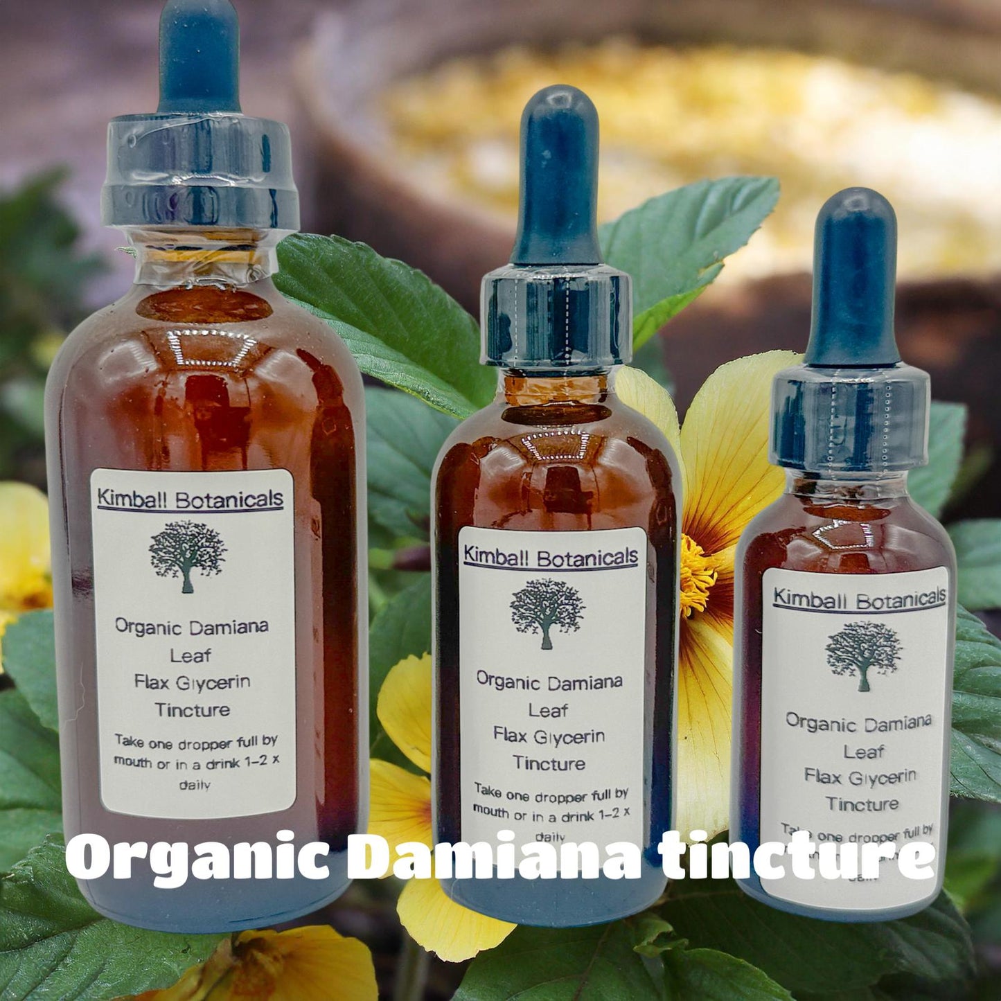 Organic Damiana (Turnera diffusa) 500mg or 650mg vegetarian capsules, made fresh to order, no fillers or binders