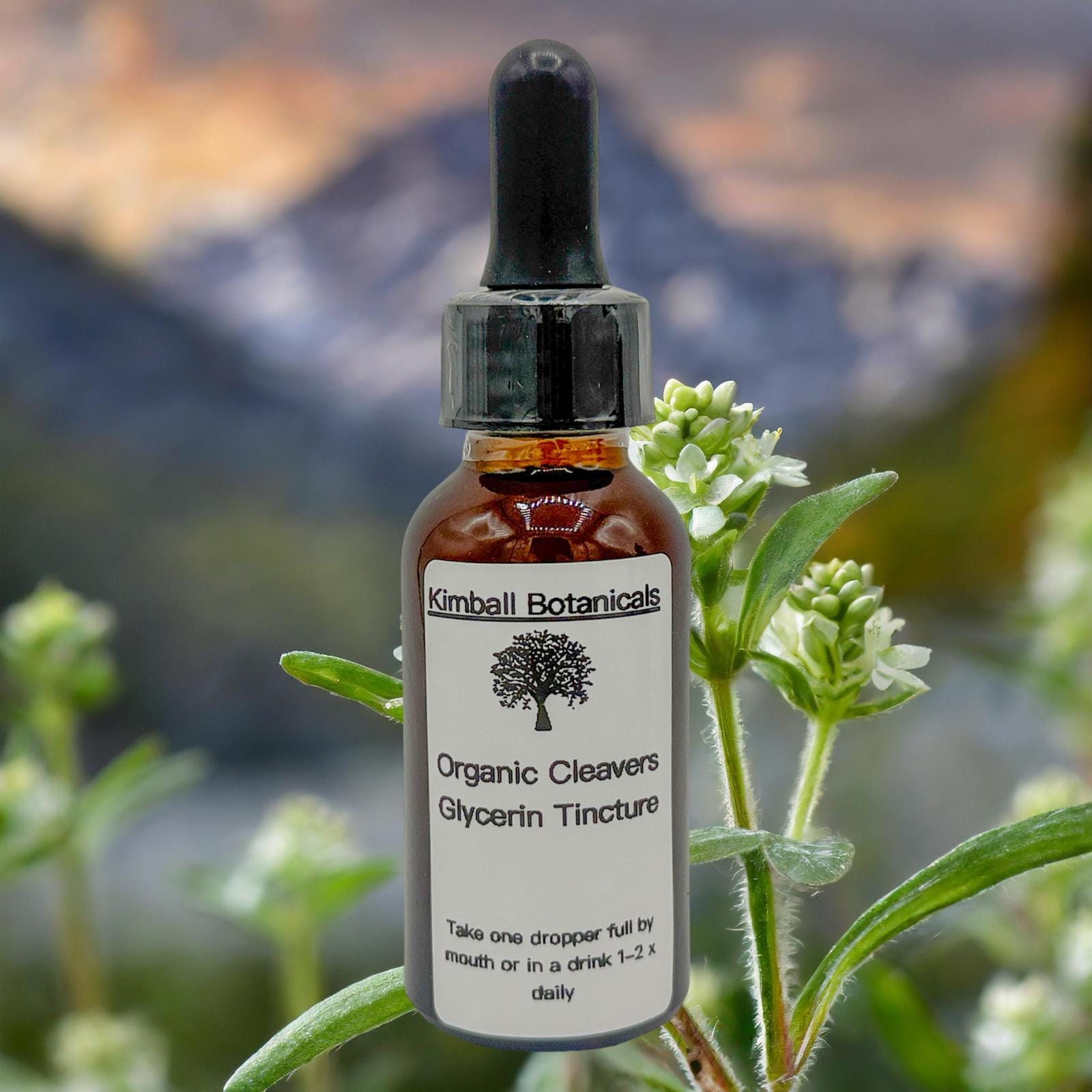 USDA Certified Organic Handcrafted Cleavers Vegetable Glycerin Tincture Double Extracted