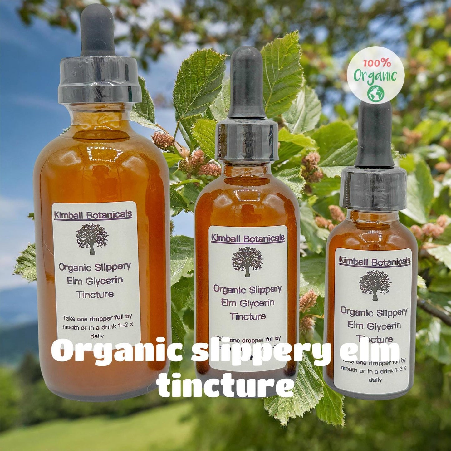 USDA Certified Organic Slippery Elm (Ulmus rubra) Glycerin Tincture Double Extracted, sustainably harvested NON GMO