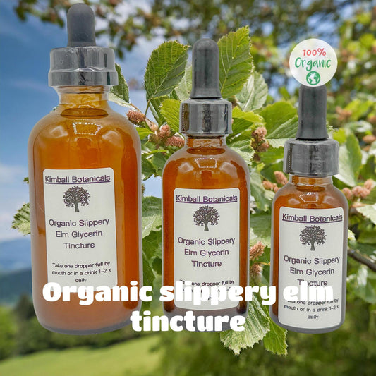 USDA Certified Organic Slippery Elm (Ulmus rubra) Glycerin Tincture Double Extracted, sustainably harvested NON GMO
