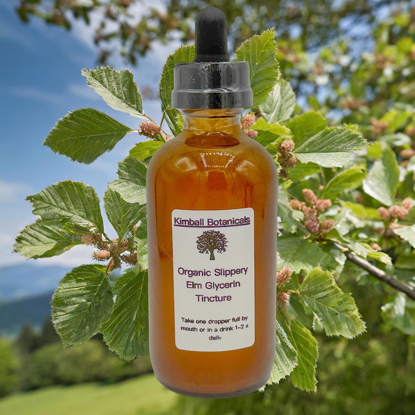 USDA Certified Organic Slippery Elm (Ulmus rubra) Glycerin Tincture Double Extracted, sustainably harvested NON GMO