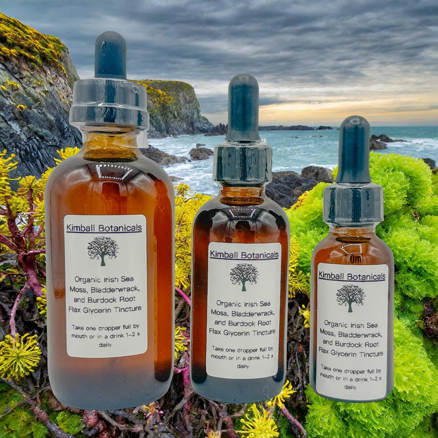 Organic Irish Moss Bladderwrack and Burdock 500mg and 650mg vegetarian or pullulan capsules or tincture, made fresh to order.