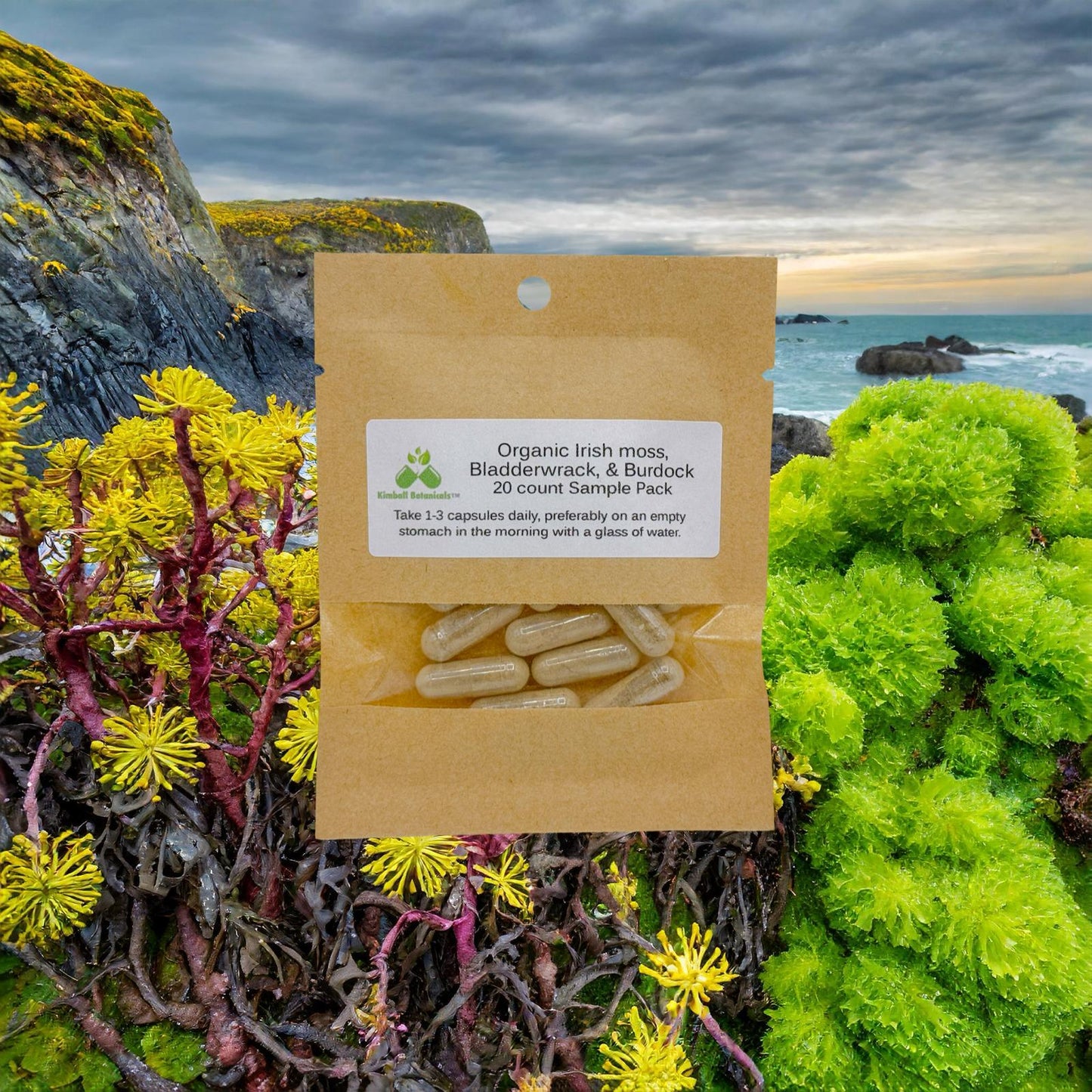 Organic Irish Moss Bladderwrack and Burdock 500mg and 650mg vegetarian or pullulan capsules or tincture, made fresh to order.